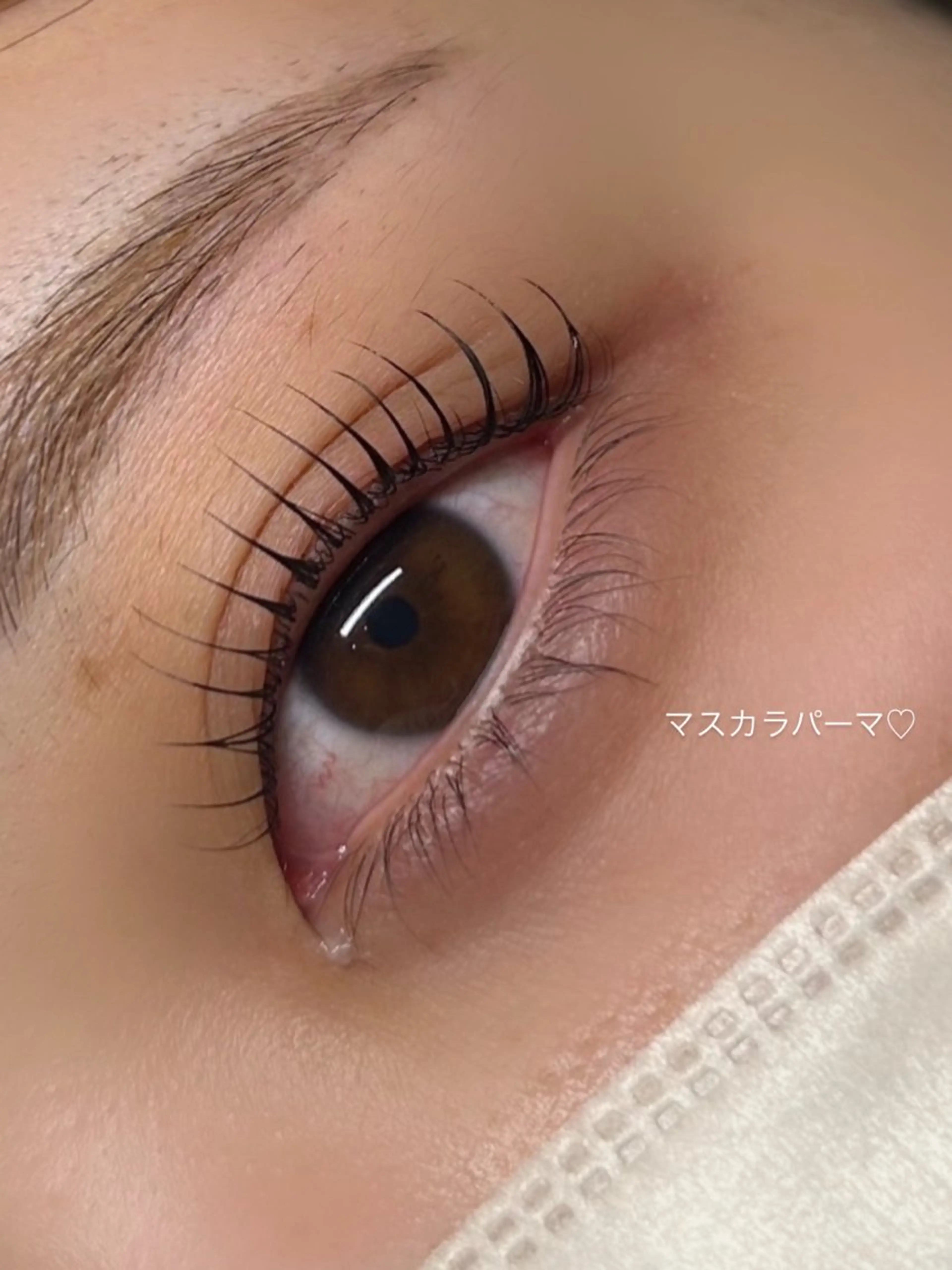 マツエク・マツパ 韓国風マツエク マツパ ボウ🪞ヘアセット /マツパ/眉毛のマツエク・マツパデザイン