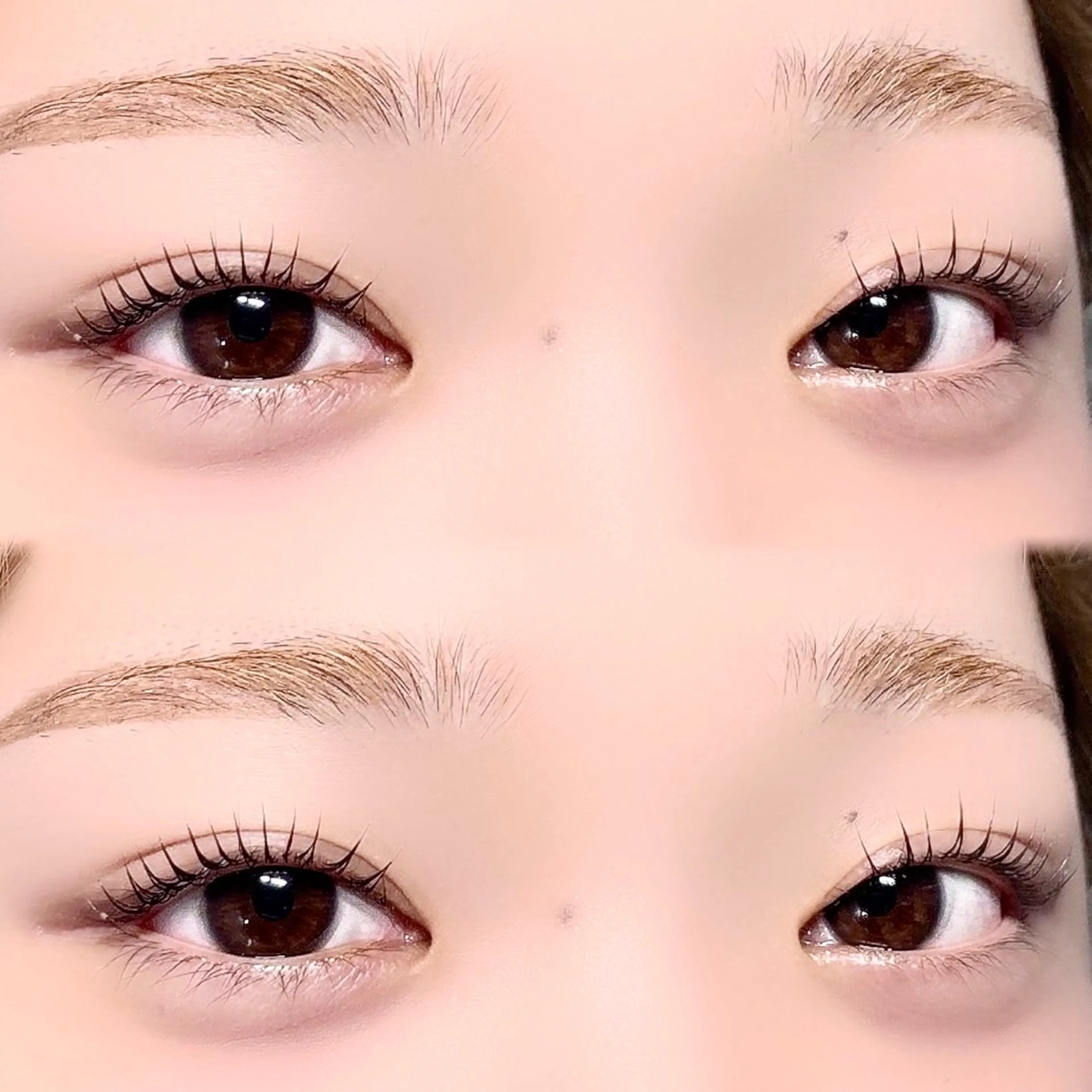 マツエク・マツパ マツパ Fuka. Lash 𐙚⸝⸝꙳の眉毛・アイブロウイメージ