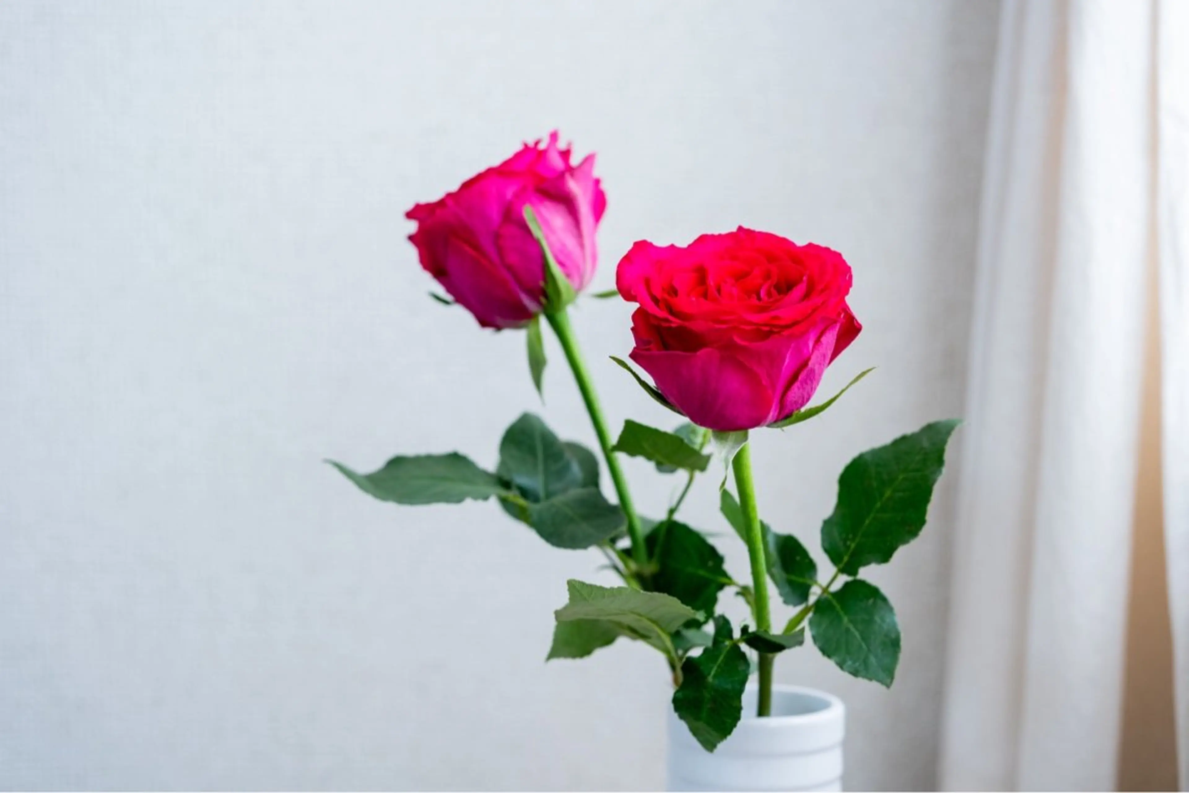 プライベートサロン Vera Luceのエステ・リラクイメージ