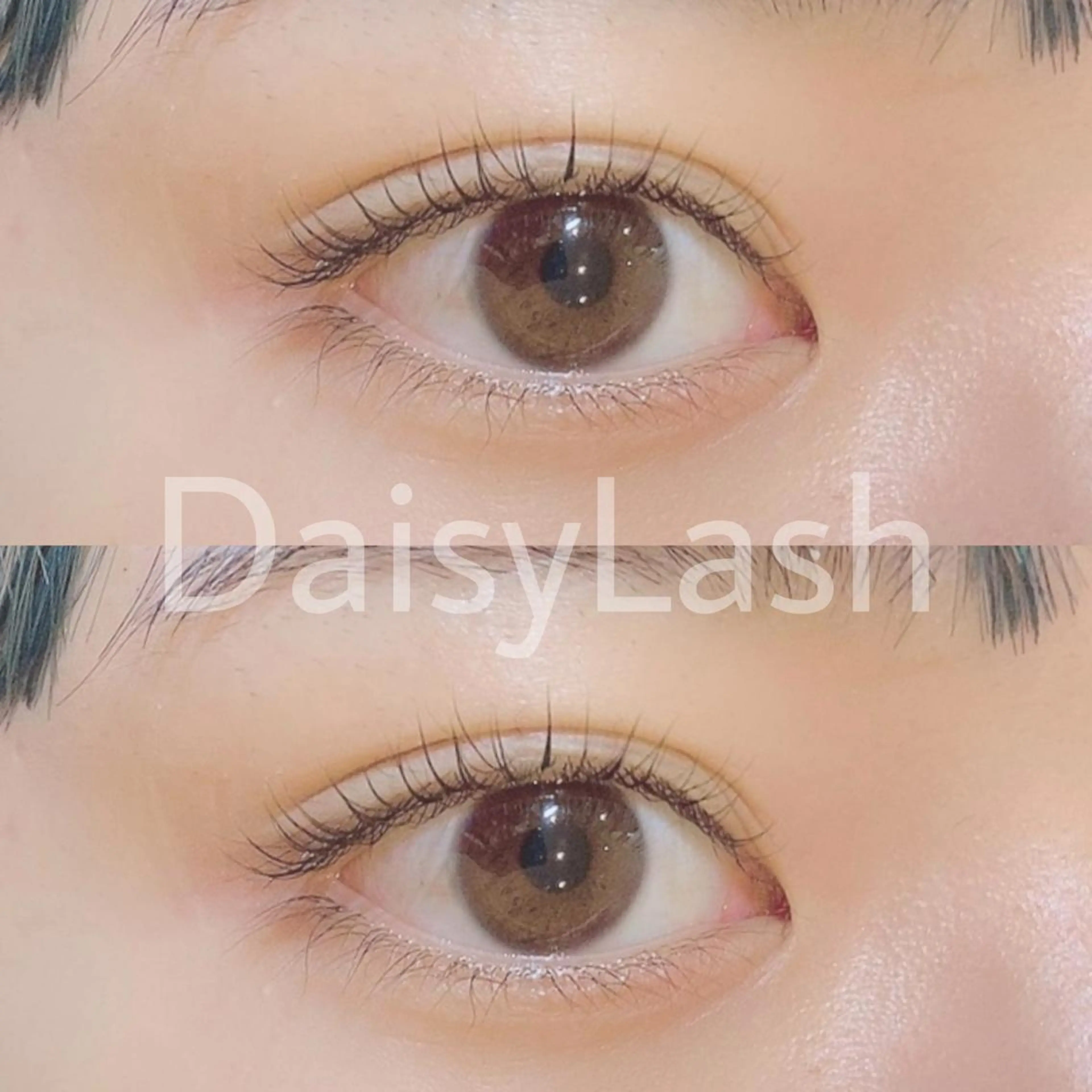 マツエク・マツパ DaisyLash 京橋店のマツエク・マツパデザイン