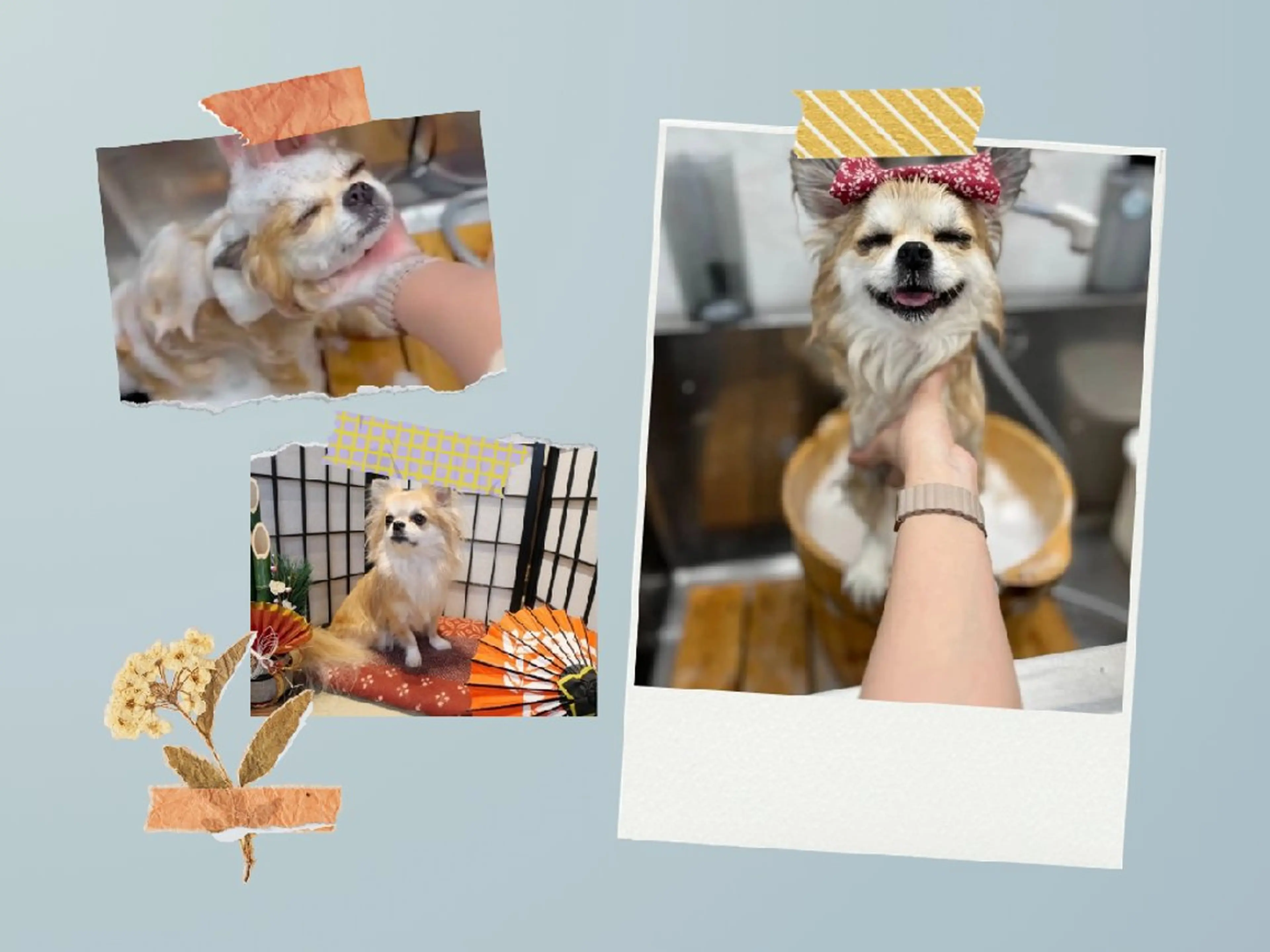 髪屋こころ 峯村 衣舞のヘアスタイル