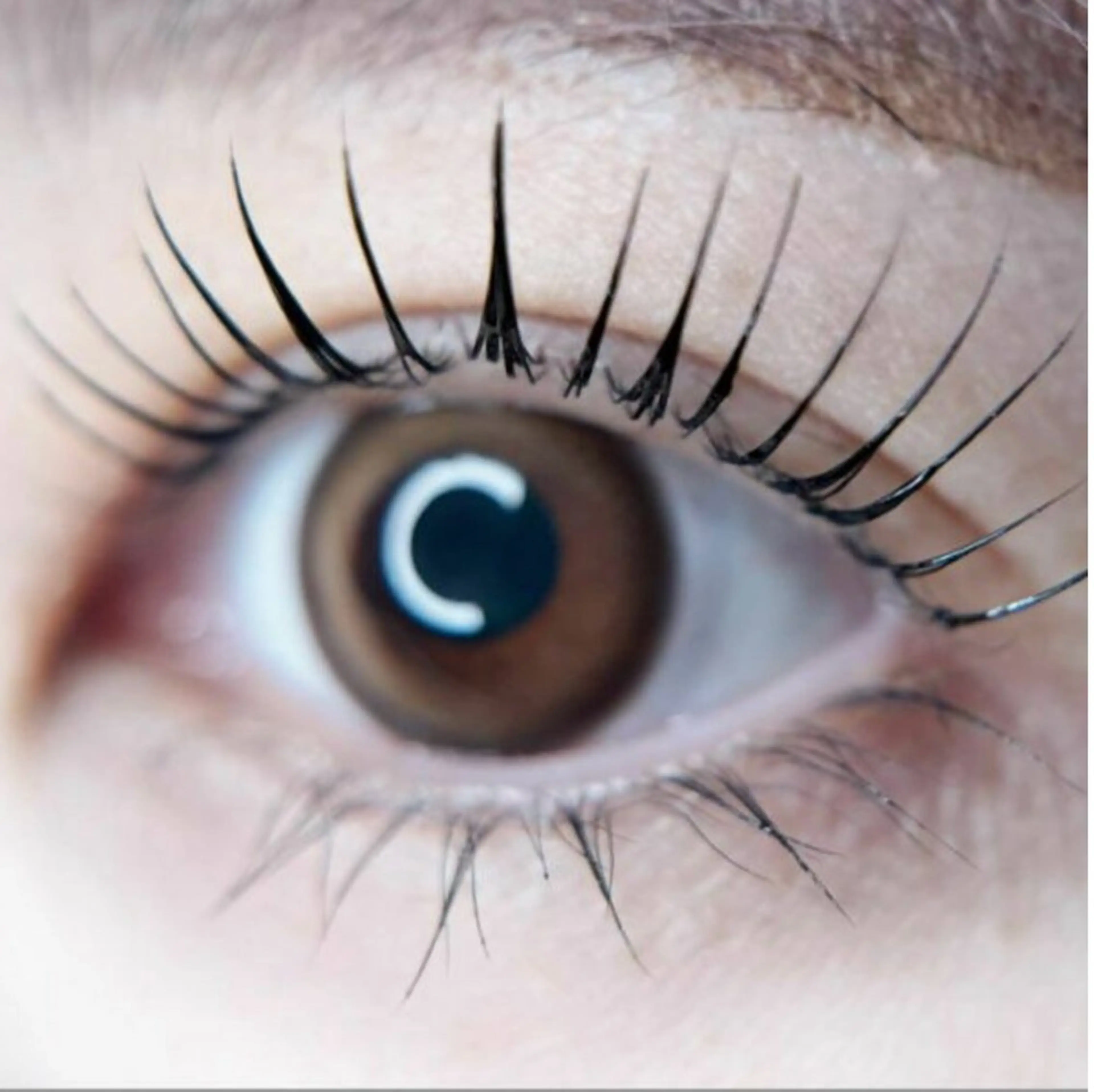 韓国発★マスカラ選べるラッシュリフト¥5700​〜​の写真