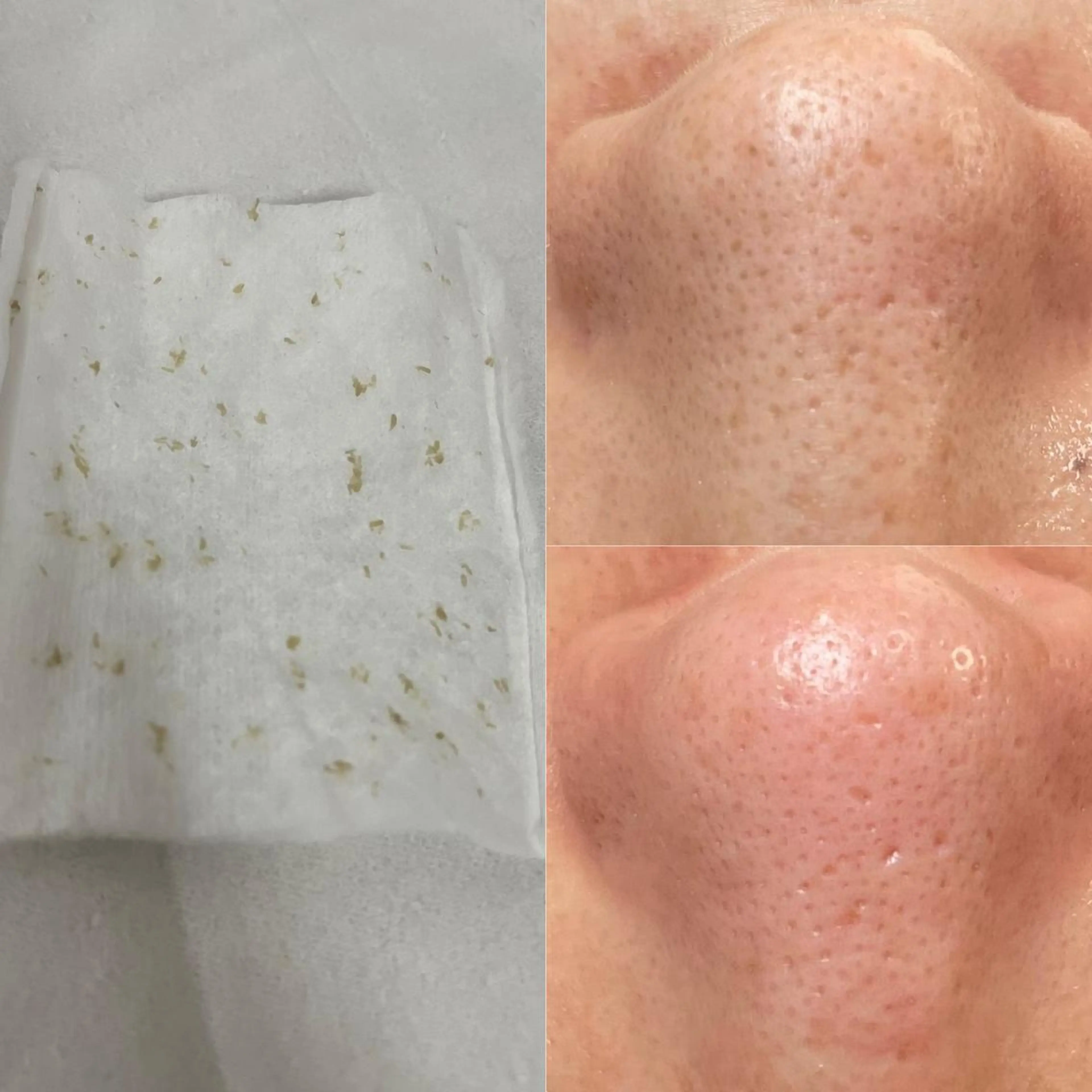 ＊Welia＊ ウェリアのマツエク・マツパデザイン