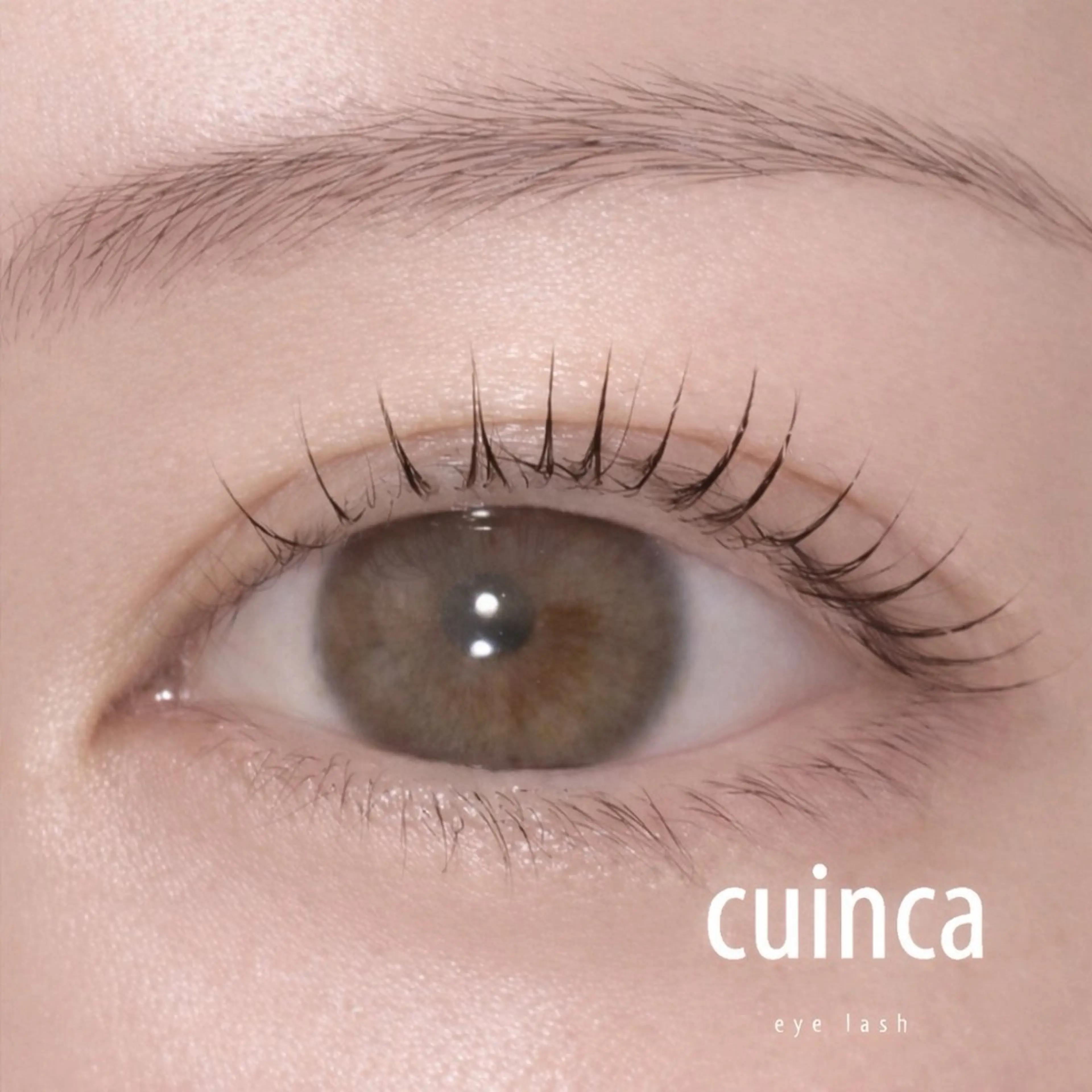 上まつ毛パーマ💐仕上げコーティング付きです🫧5分前のご来店お願い致します🙇♀️の写真