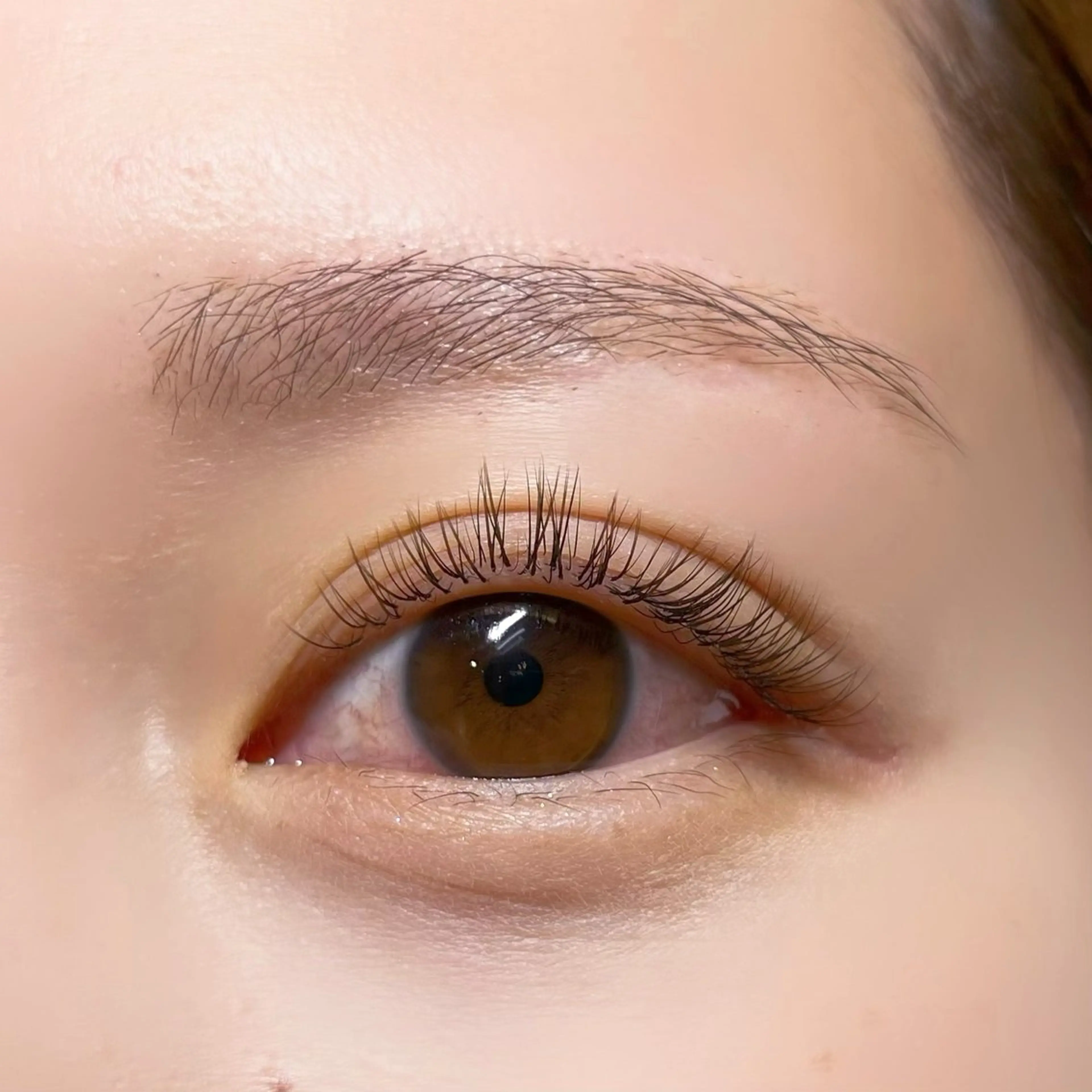 マツエク・マツパ フラットラッシュ パリジェンヌラッシュリフト YUKA -自由が丘-のマツエク・マツパデザイン