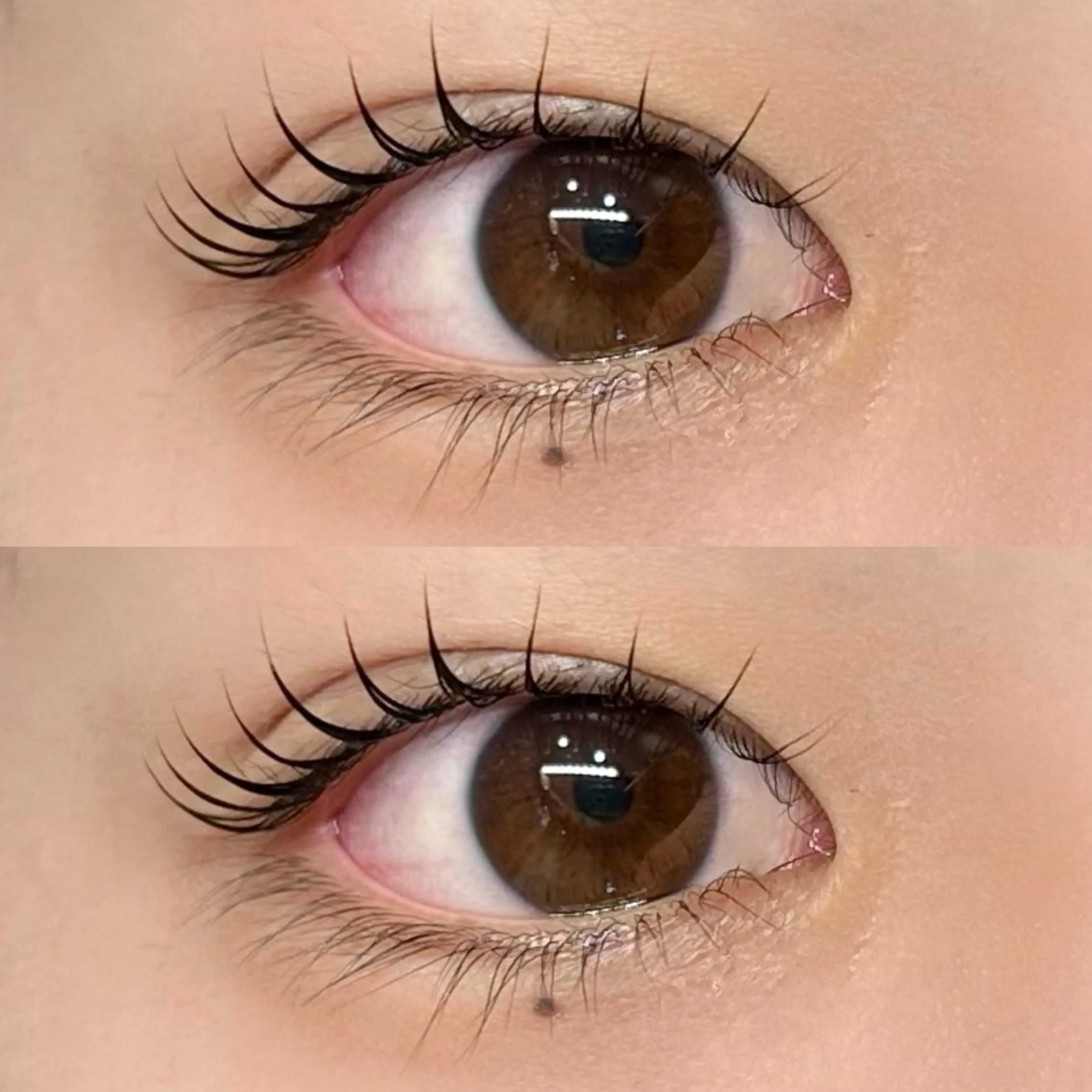 マツエク・マツパ カイヅ コノミの眉毛・アイブロウイメージ