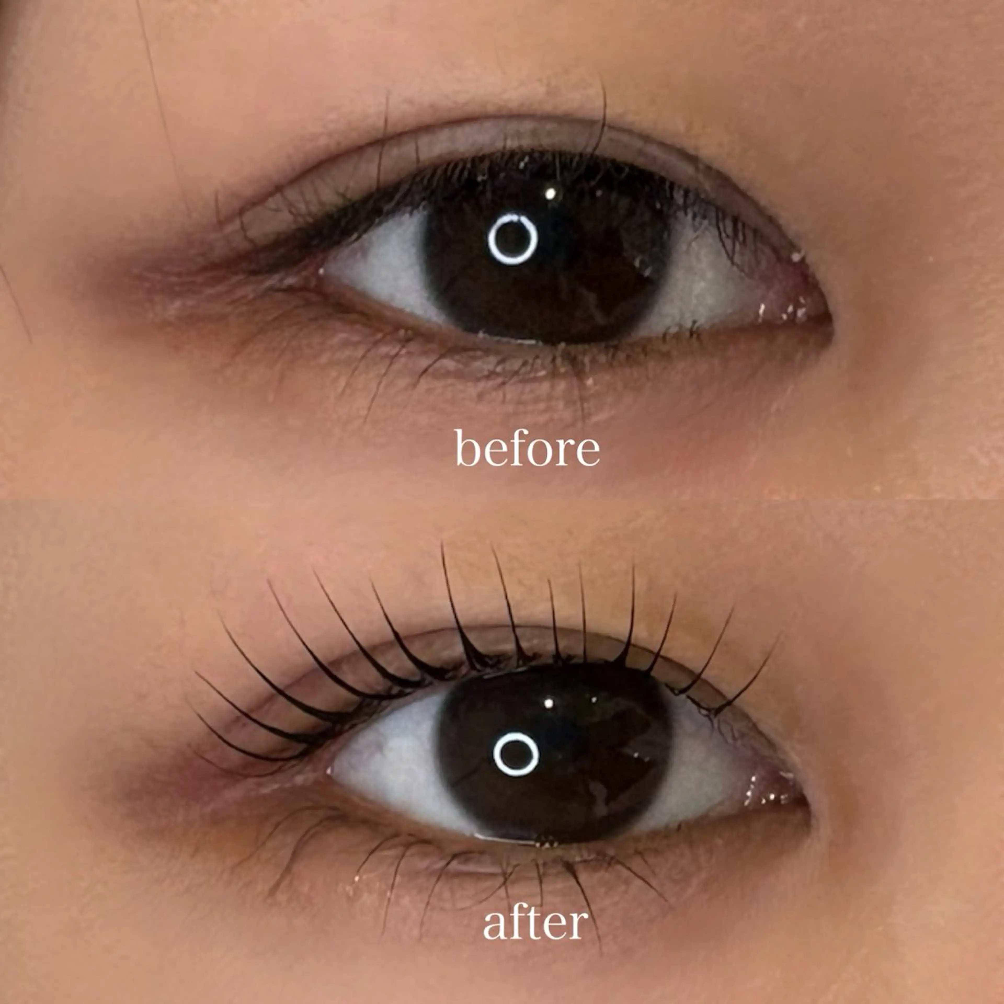 マツエク・マツパ まつげパーマ nao🦢 福岡天神/マツパのマツエク・マツパデザイン