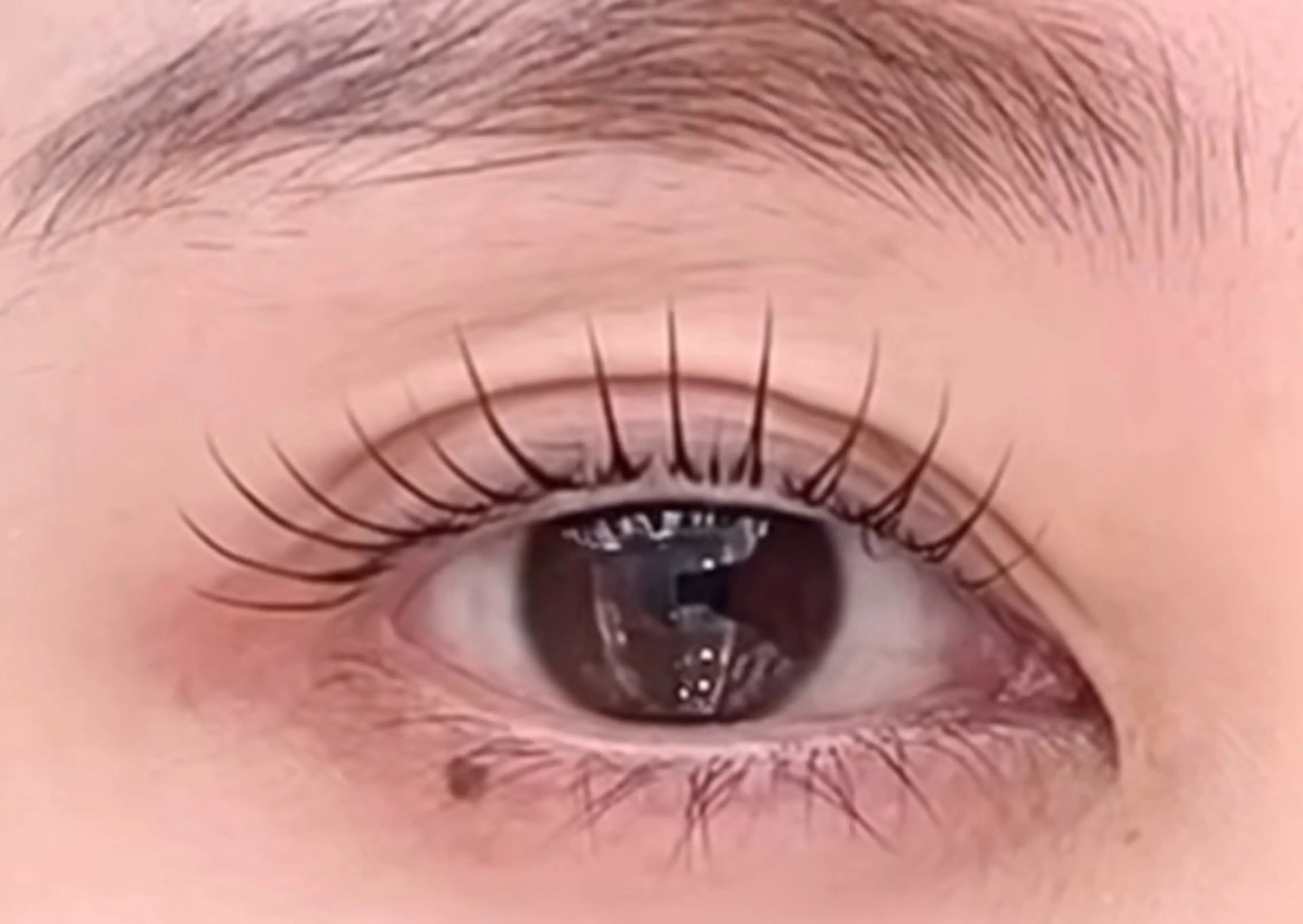 マツエク・マツパ Venus Beauty銀座のマツエク・マツパデザイン