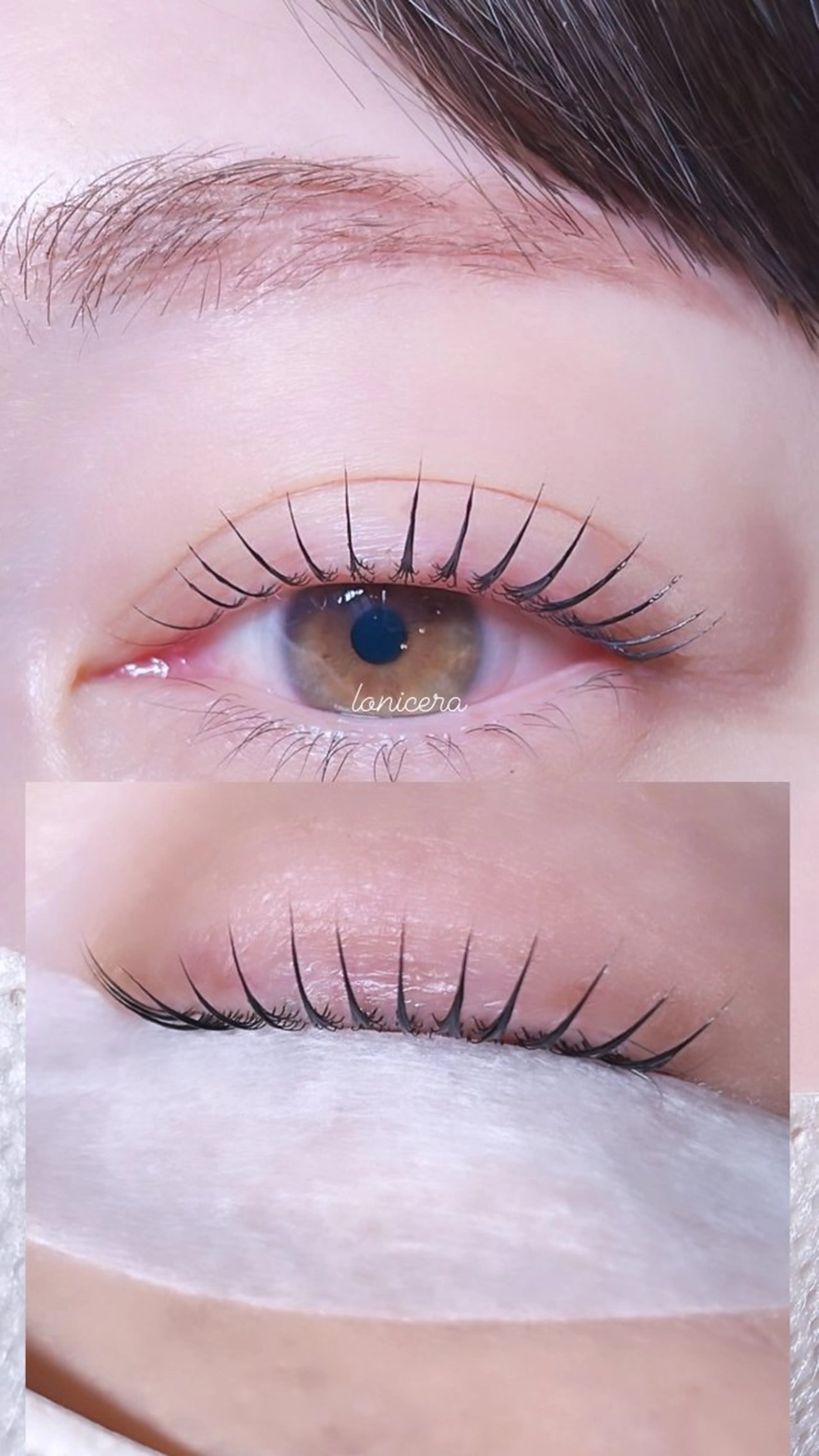 マツエク・マツパ ロニセラ アイラッシュのマツエク・マツパデザイン