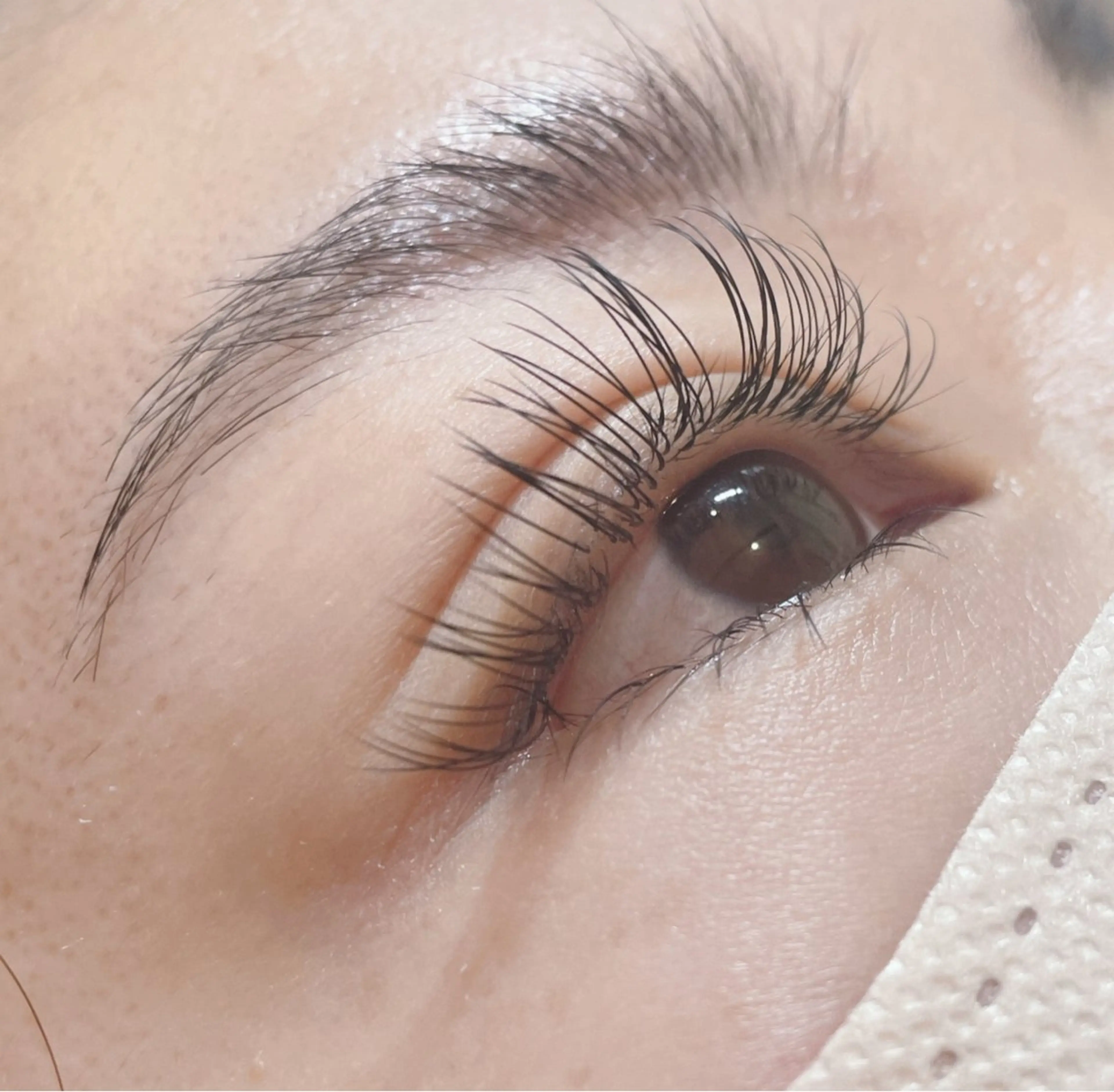 マツエク・マツパ フラットラッシュ 下まつげエクステ Lokelani HAYASHIのマツエク・マツパデザイン