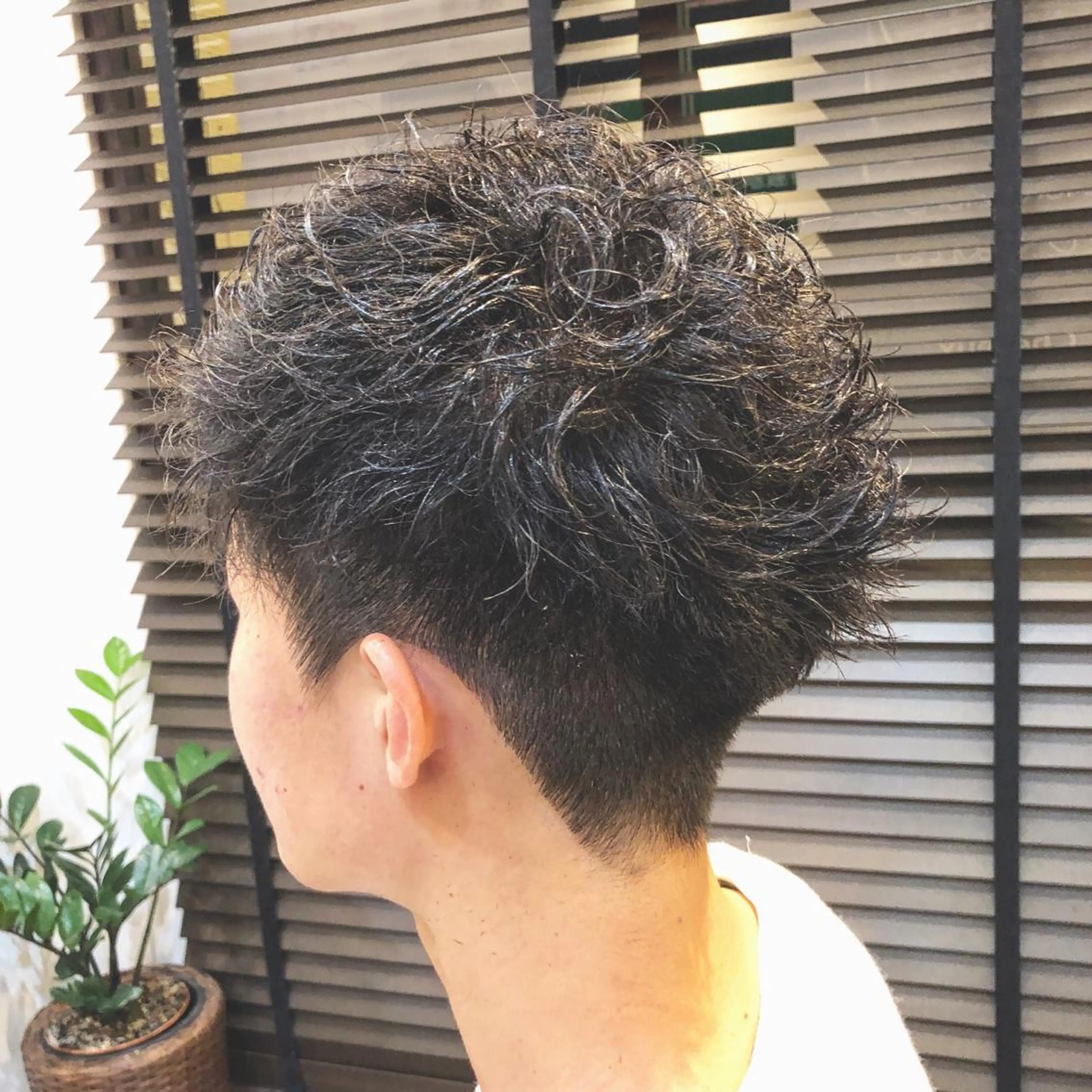 パーマ メンズ カット パーマ トリートメント saku所属・日比谷 翔太のヘアスタイル