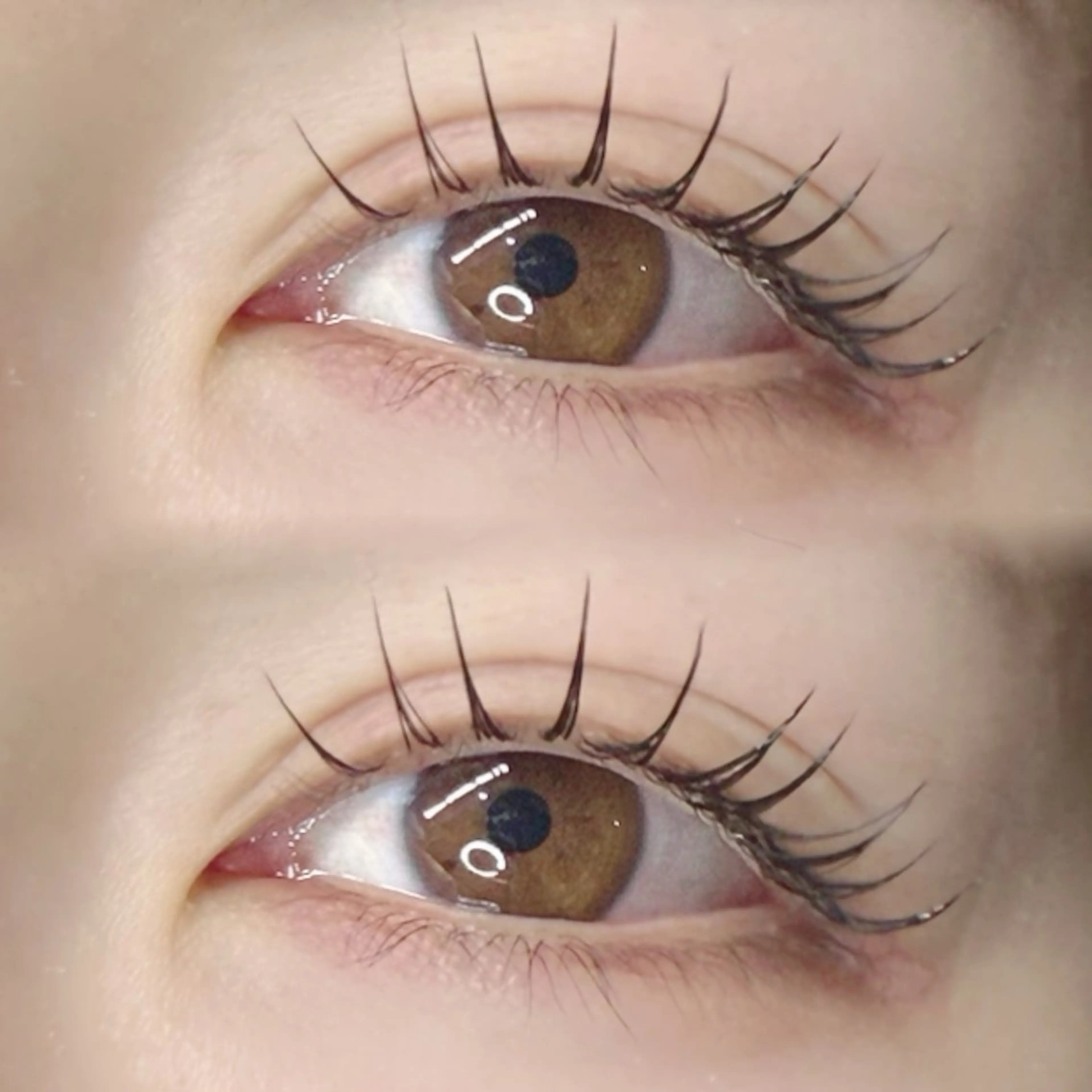 マツエク・マツパ マツエク 🩰yuri🩰 似合わせ/束感のマツエク・マツパデザイン