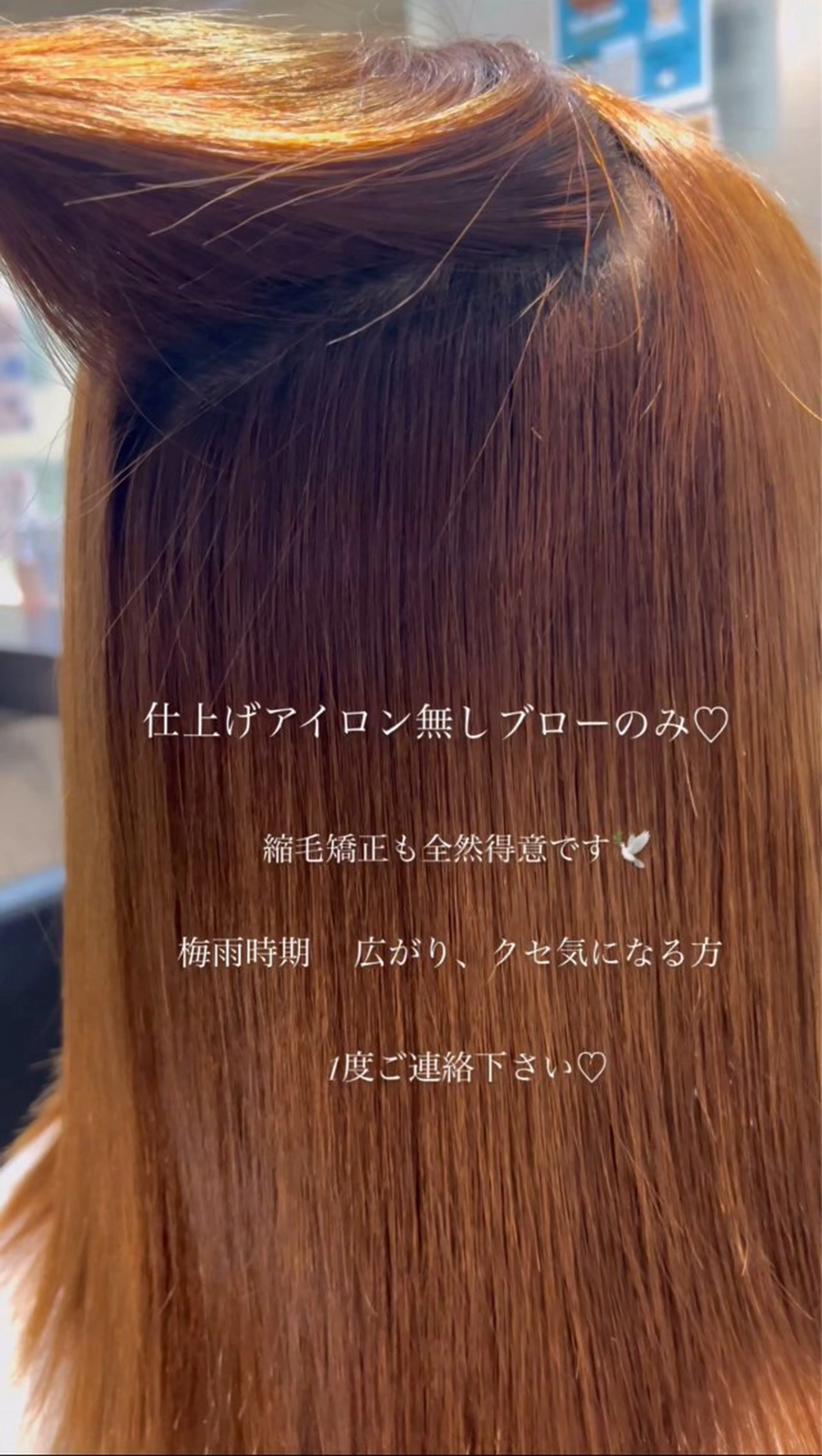 二宮 陽太のヘアスタイル