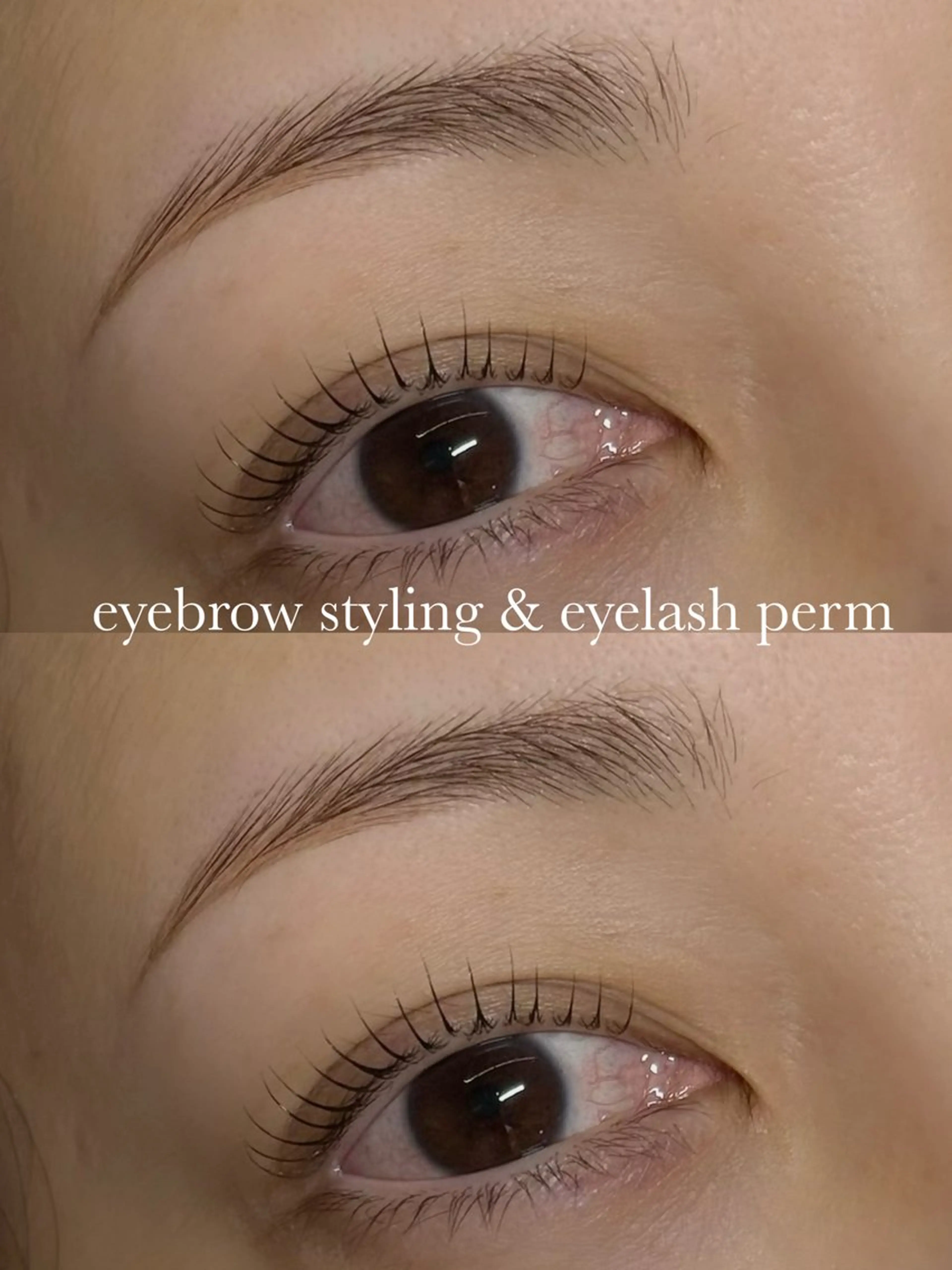 マツエク・マツパ マツパ elf所属・elf ...の眉毛・アイブロウイメージ