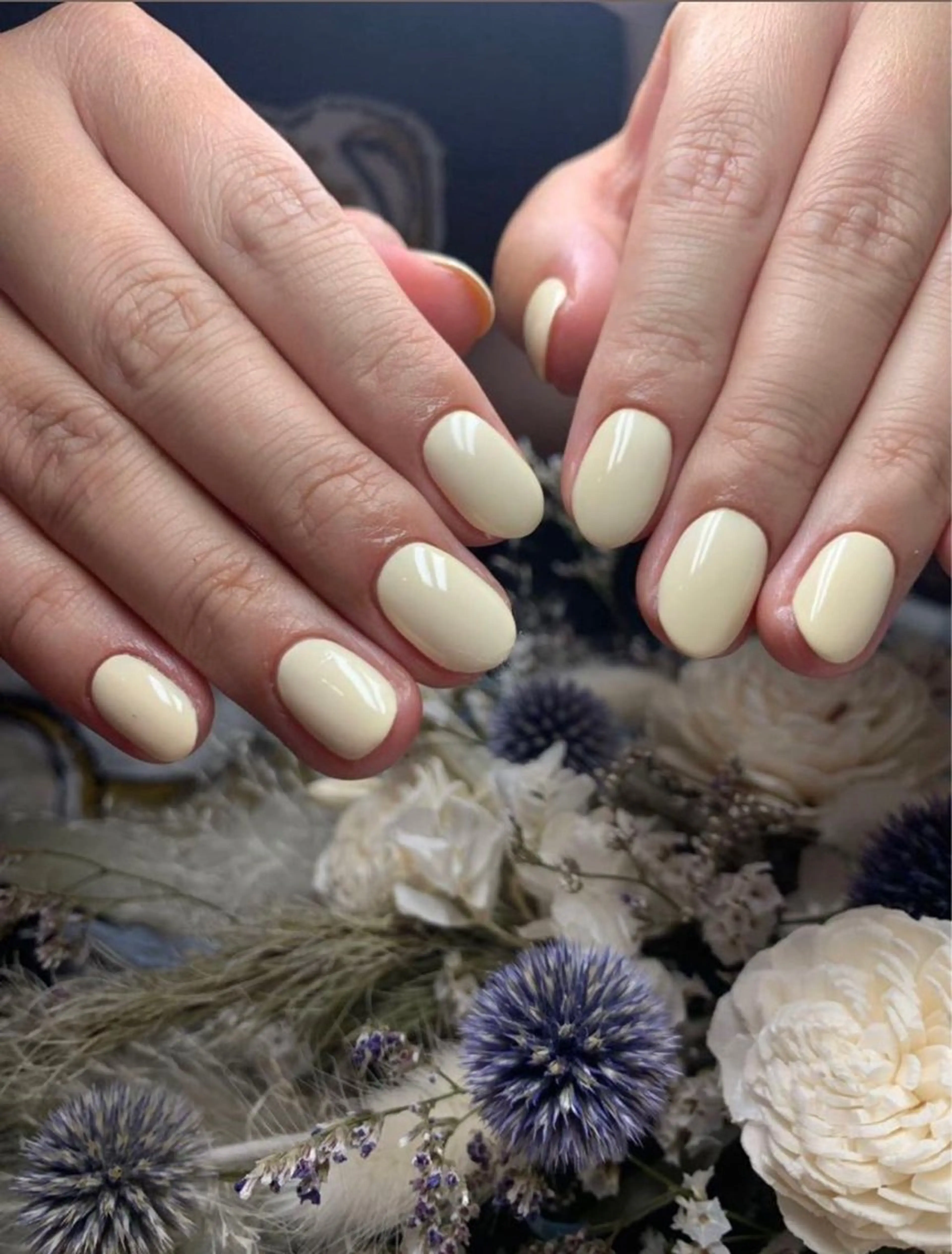 ネイル PLUM  BELL 横浜自宅ネイルのネイルデザイン