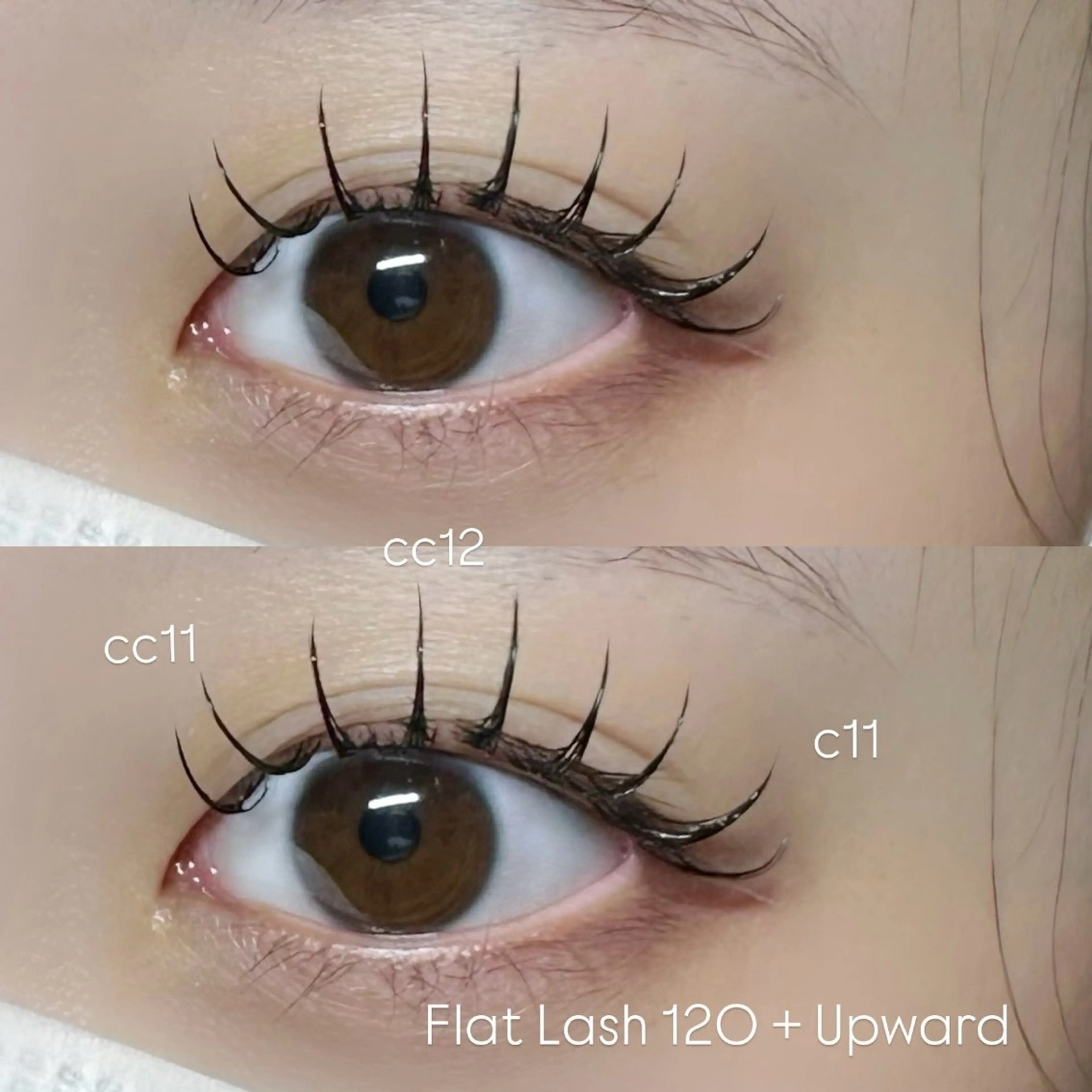 【60分⏱】フラットラッシュ120本 🐾の写真