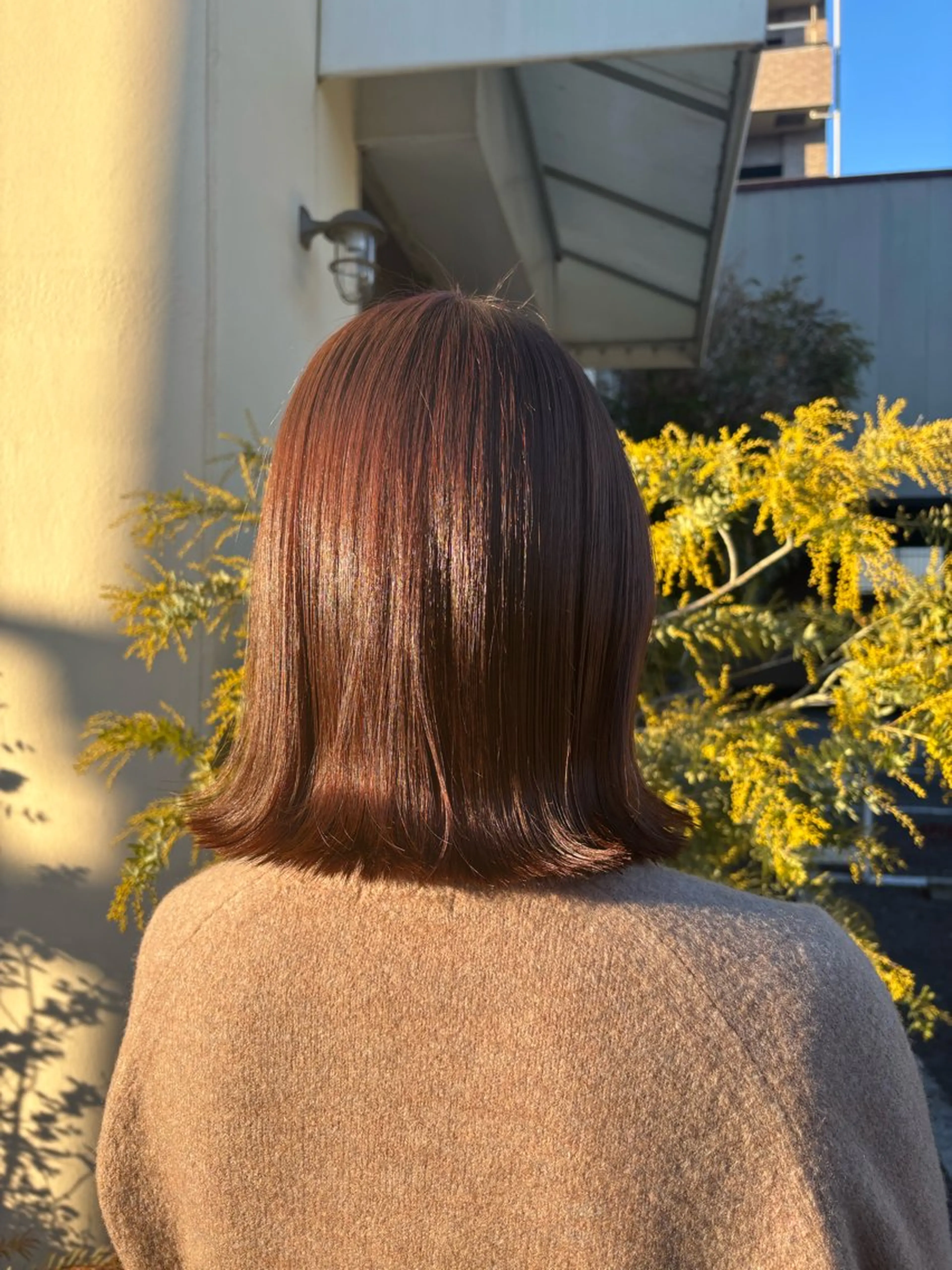 カット+透明感カラー+Aujuaトリートメントの写真