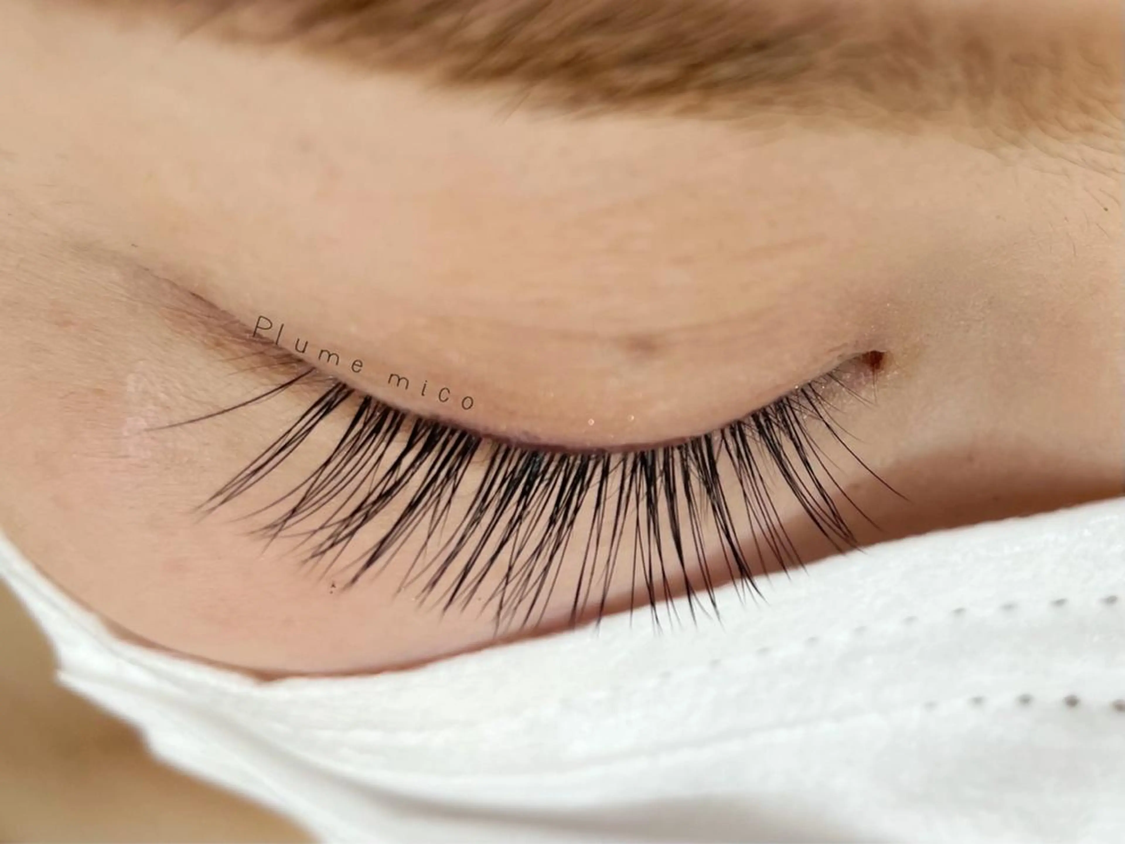 マツエク・マツパ マツエク Plume micoのマツエク・マツパデザイン