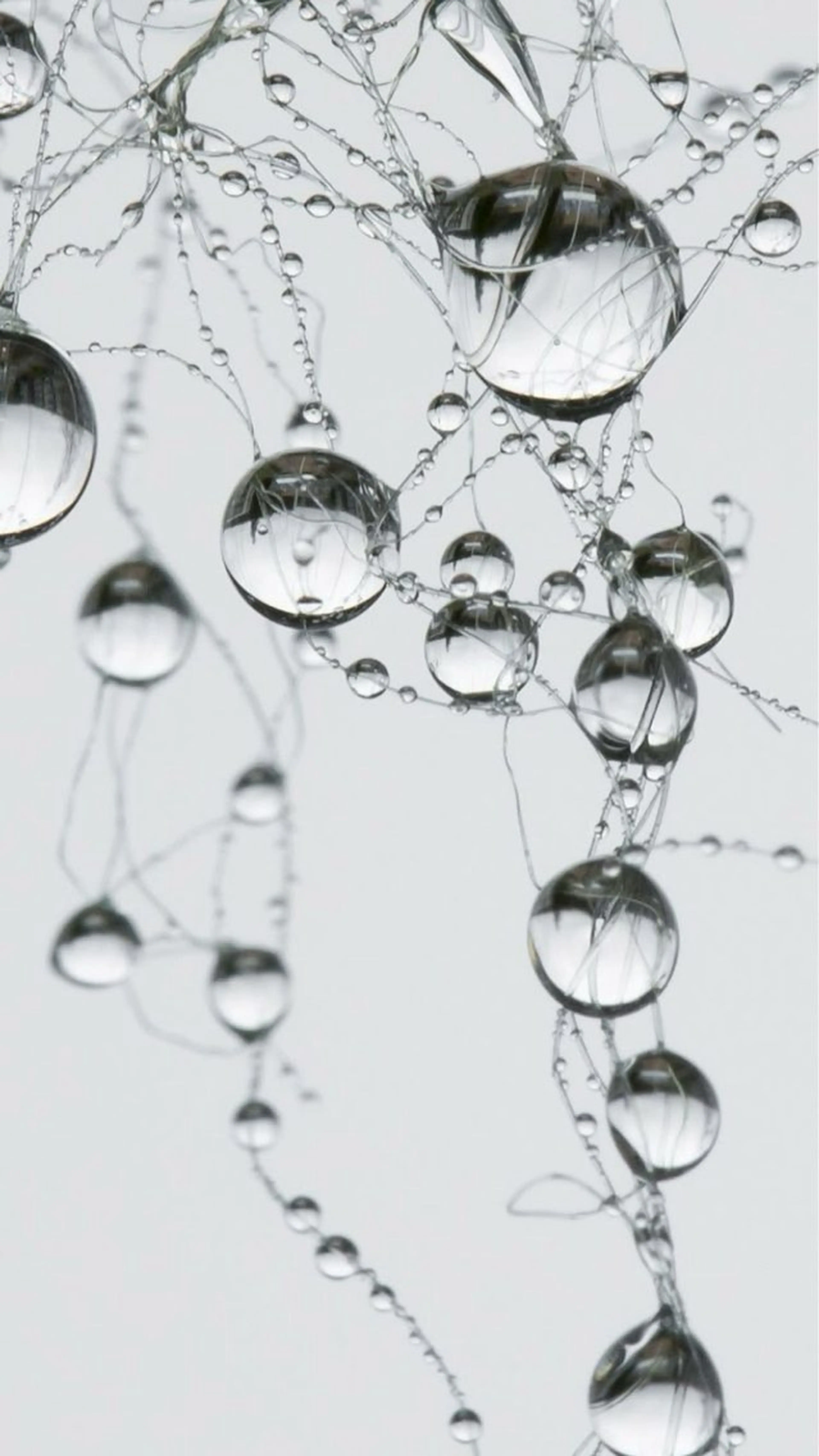 ネイル 🌕akuri🌖 渋谷/nuanceのネイルデザイン