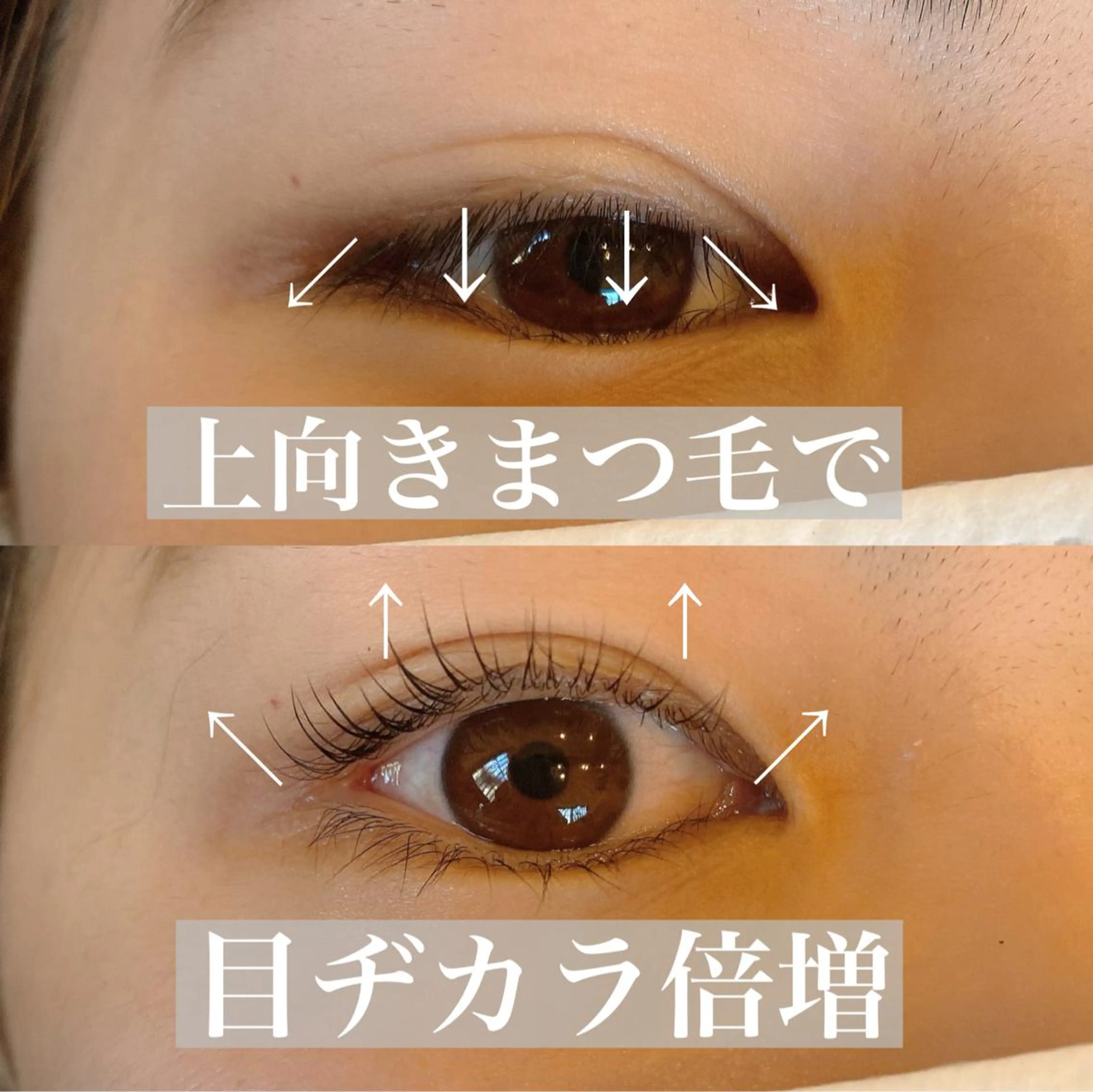 マツエク・マツパ まつげパーマ AYAKA LashChupiのマツエク・マツパデザイン