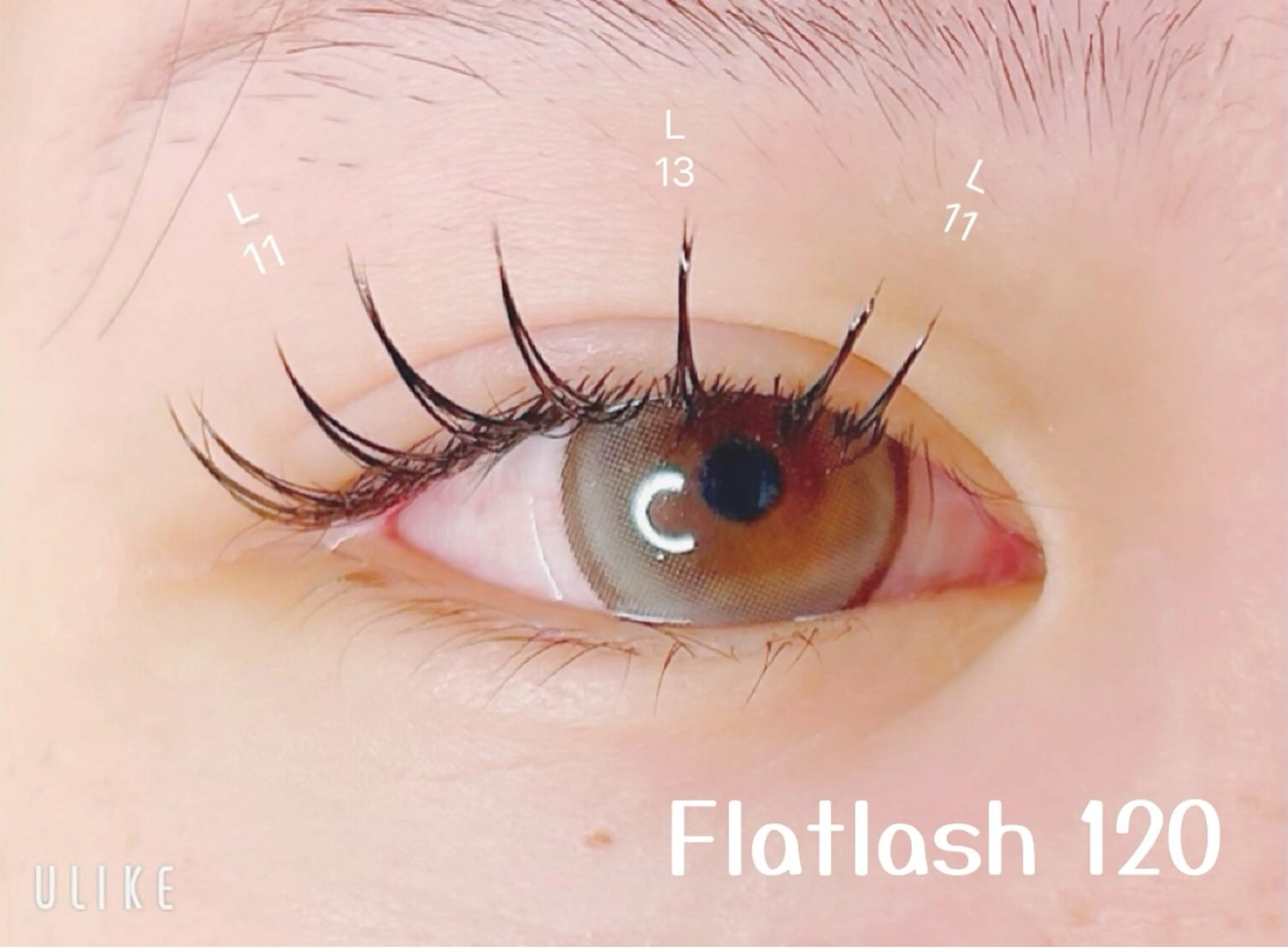 マツエク・マツパ マツエク elua eyelashの眉毛・アイブロウイメージ