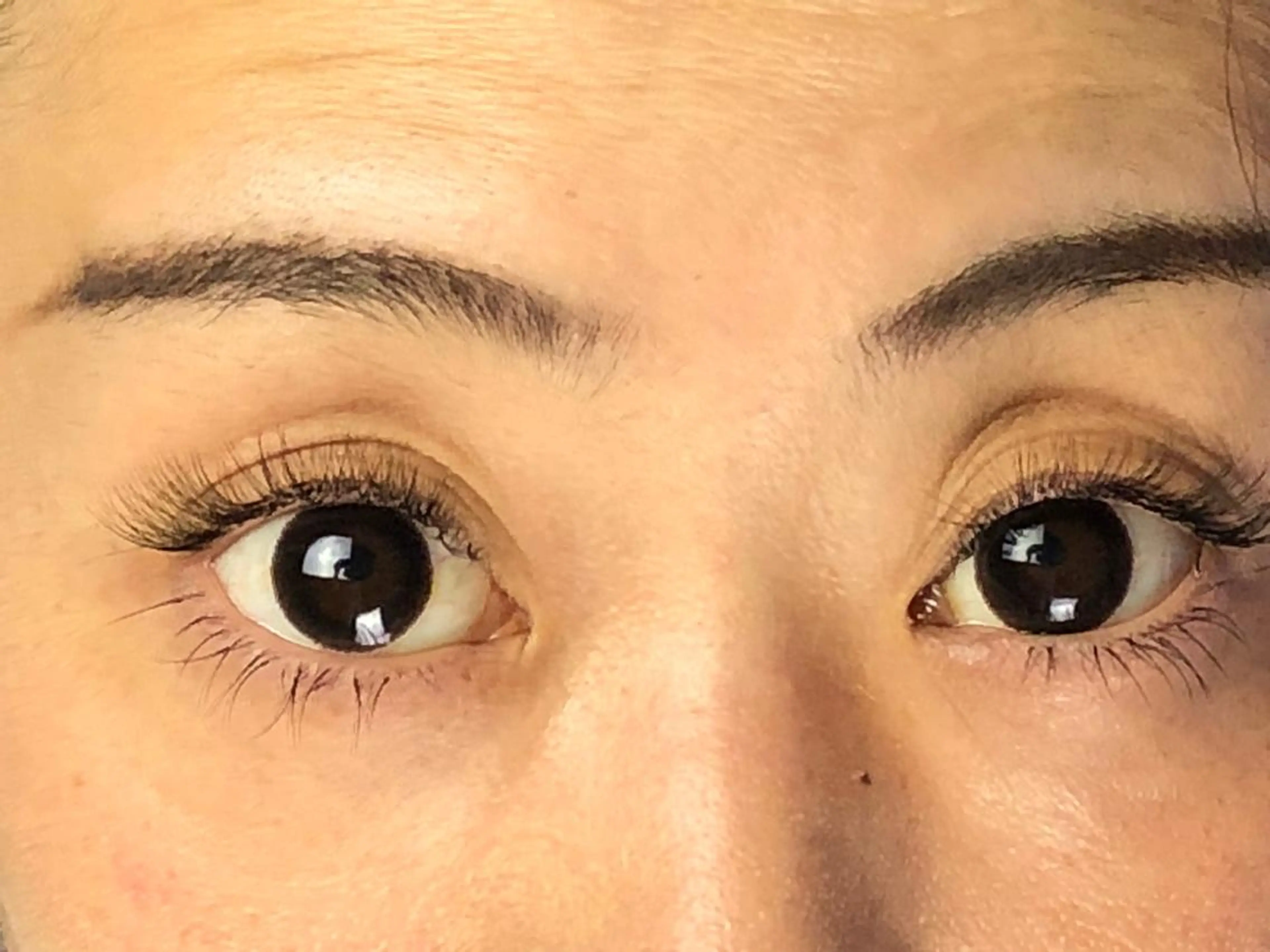 マツエク・マツパ 付け放題 ボリュームラッシュ Rei to　youのマツエク・マツパデザイン