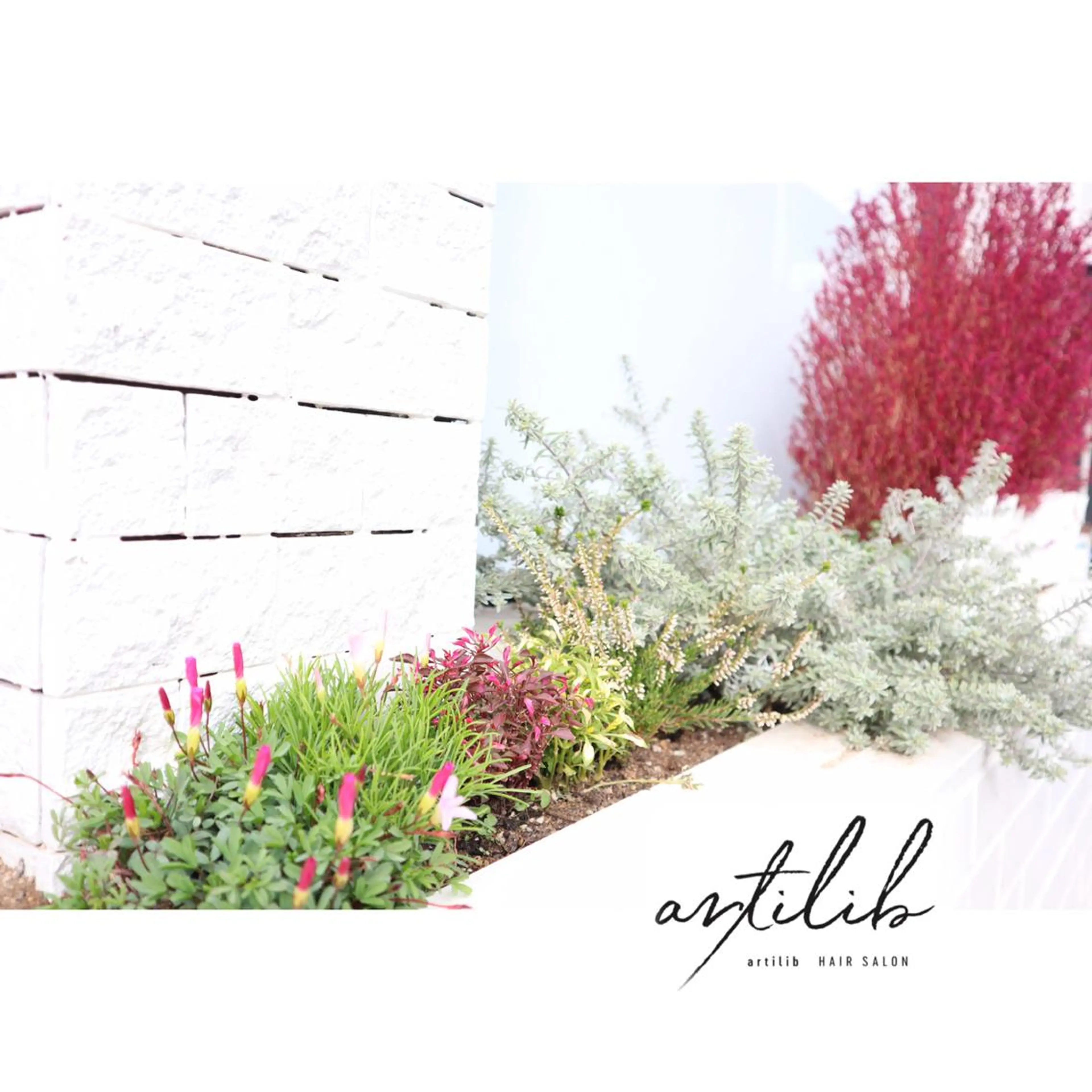 ショート カラー 切りっぱなしボブ ショートボブ アディクシーカラー アクアカラー 透明感カラー SHO担当髪質改善 東加古川アーティブのヘアスタイル