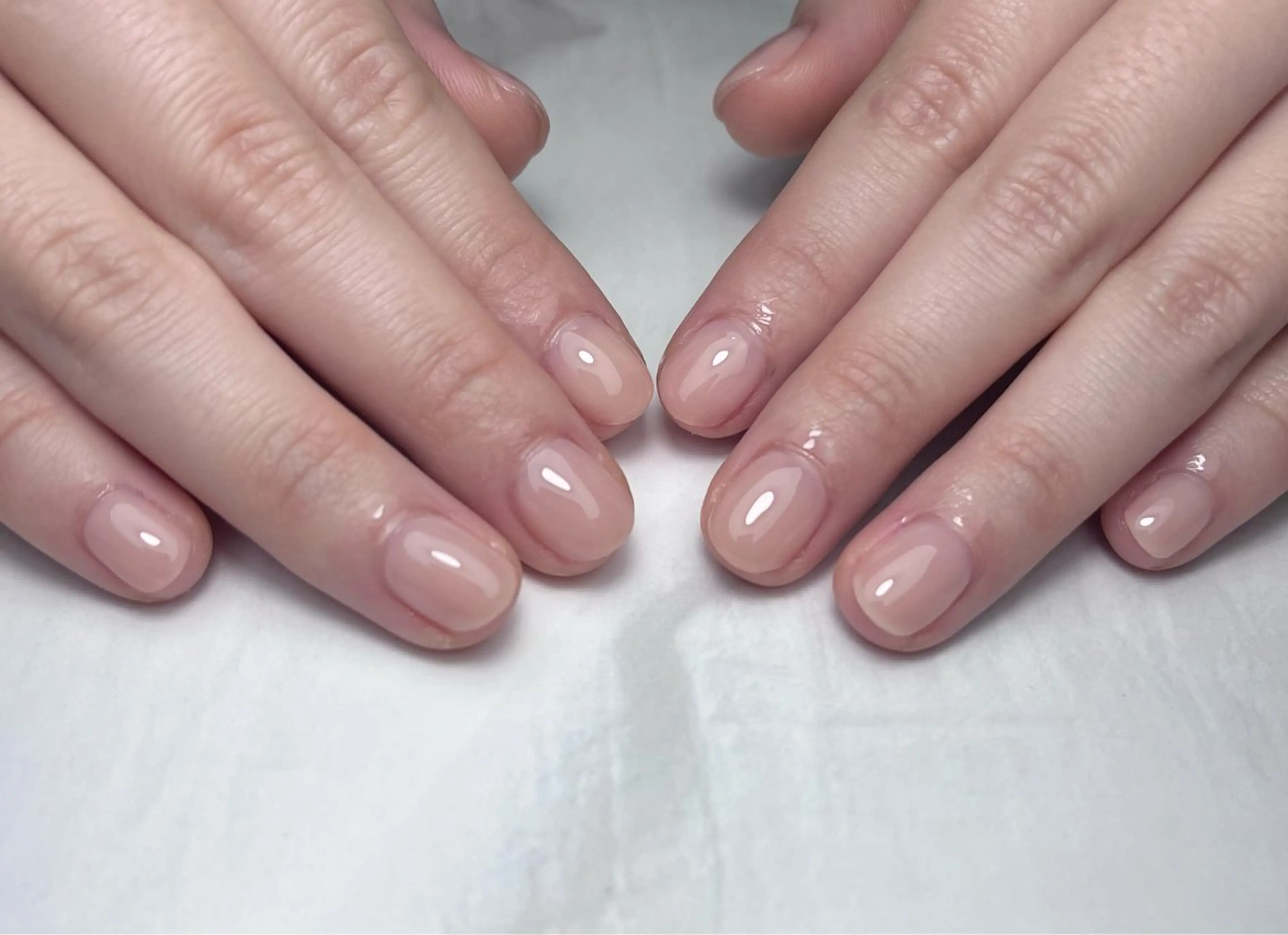 ワンカラーの写真