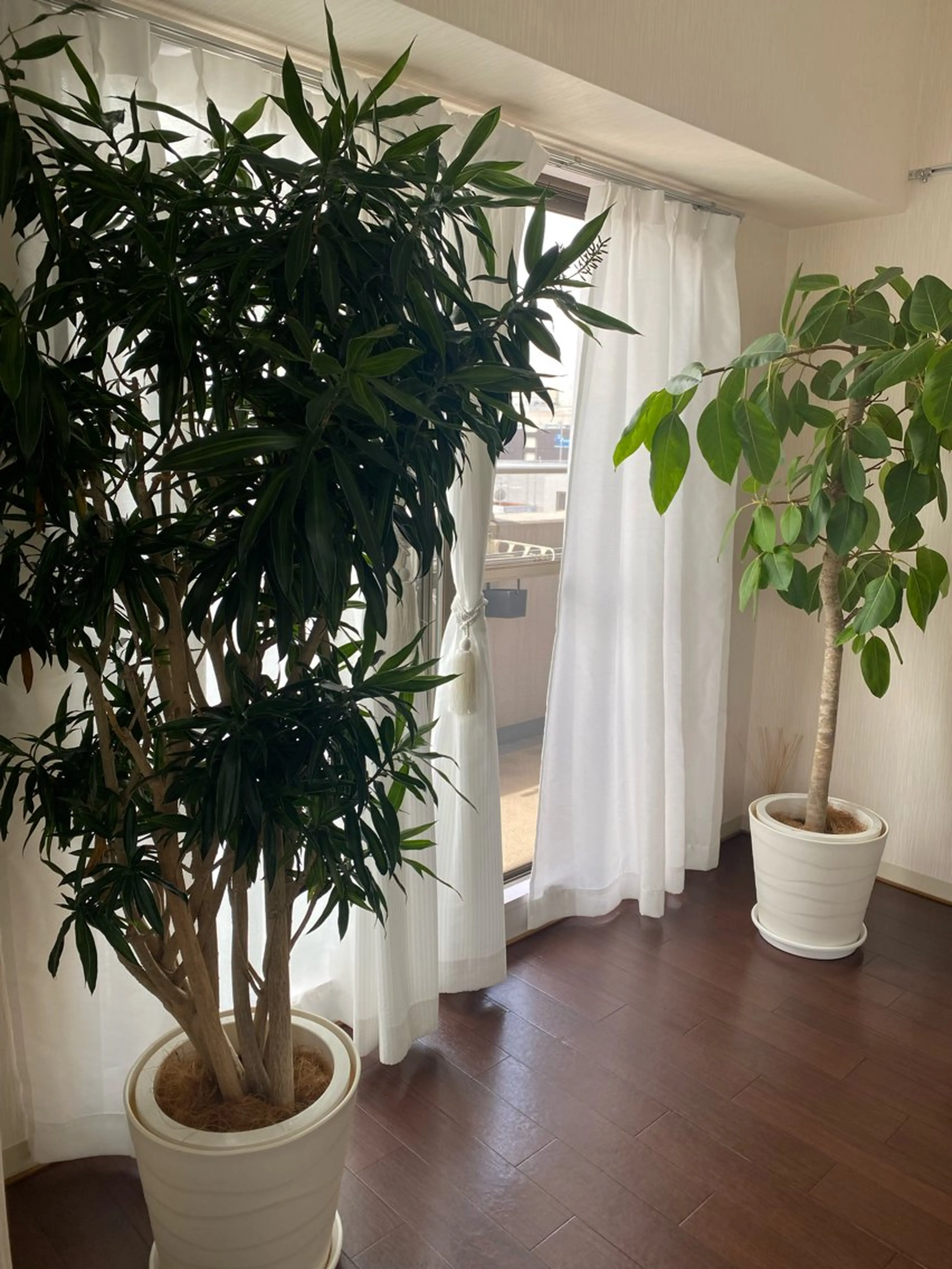 essor エソールのエステ・リラクイメージ