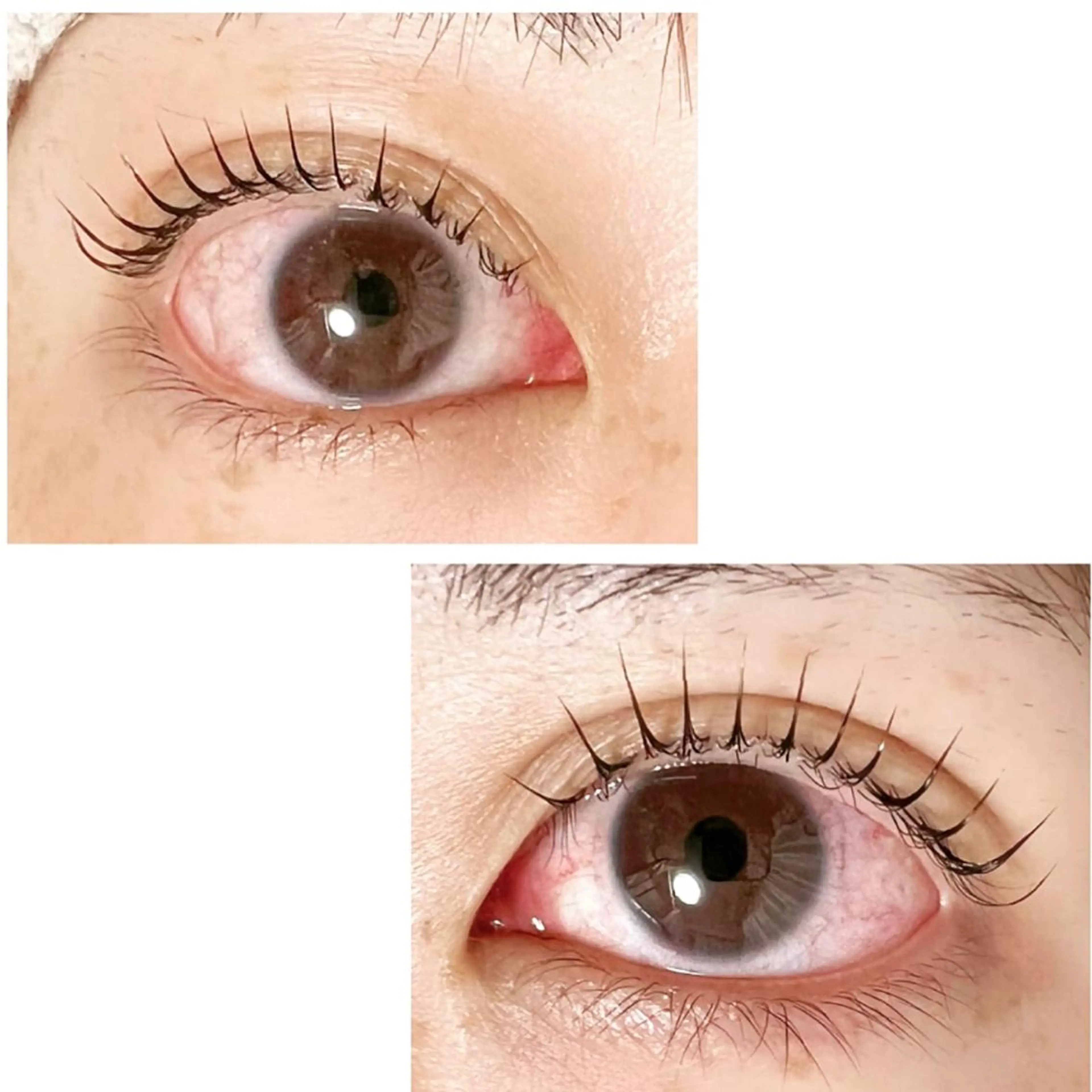 マツエク・マツパ Adorer 🍀アドレ🍀のマツエク・マツパデザイン