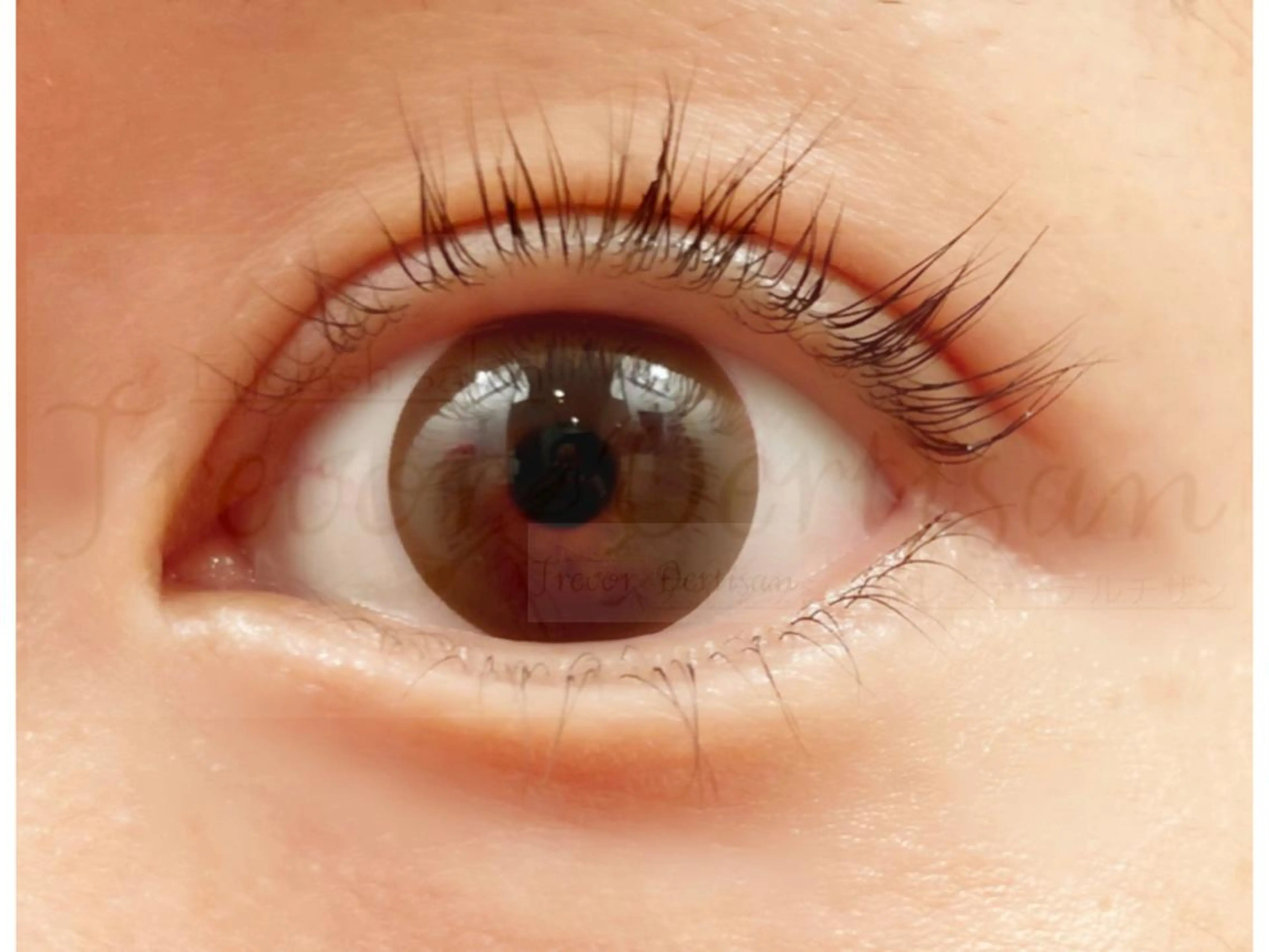 マツエク・マツパ マツパ トレヴァーデルチザン inuiのマツエク・マツパデザイン