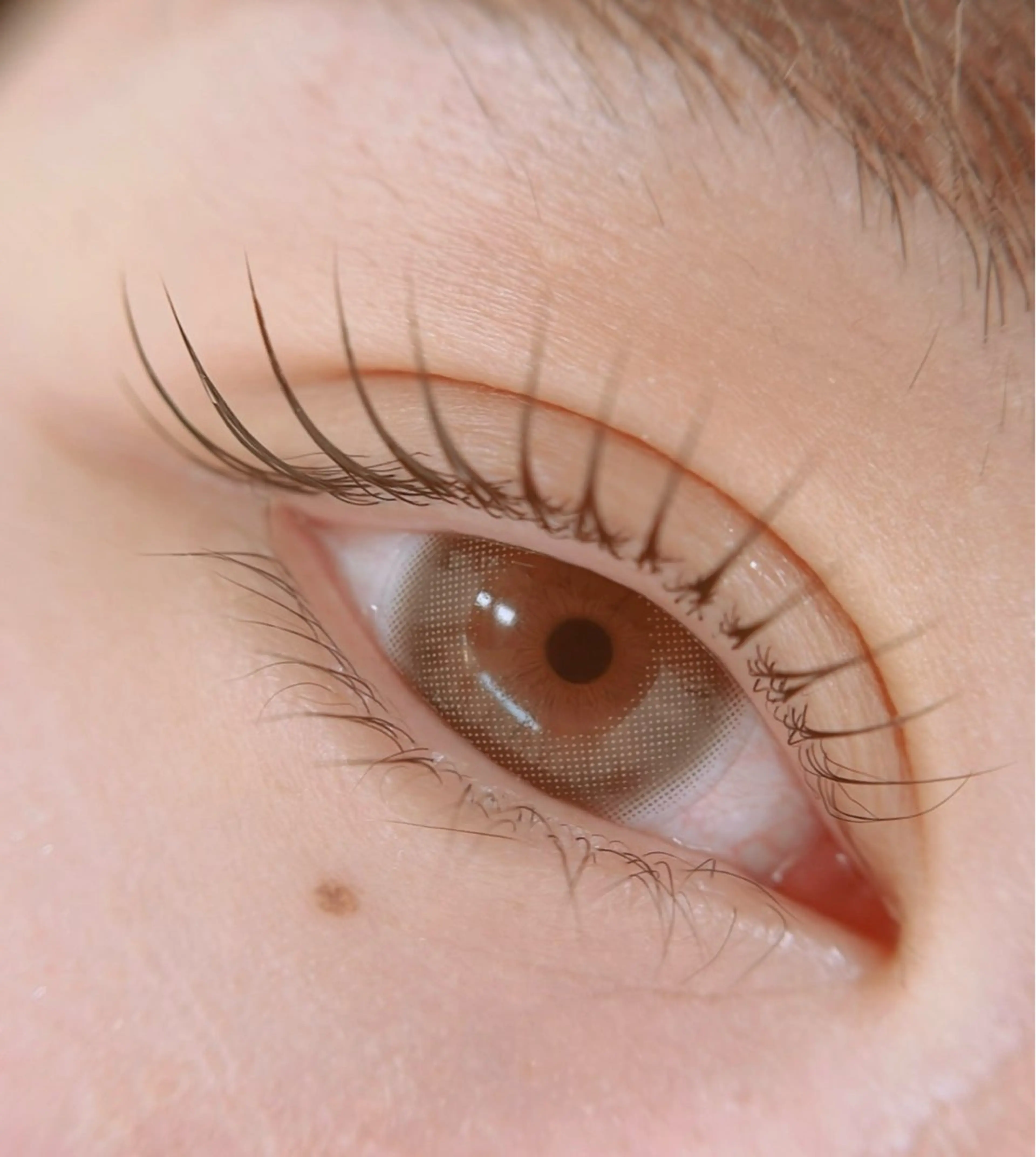 【ミニモ限定】まつげパーマ＋アイシャンプー無料◎持ち・仕上がりUPの写真