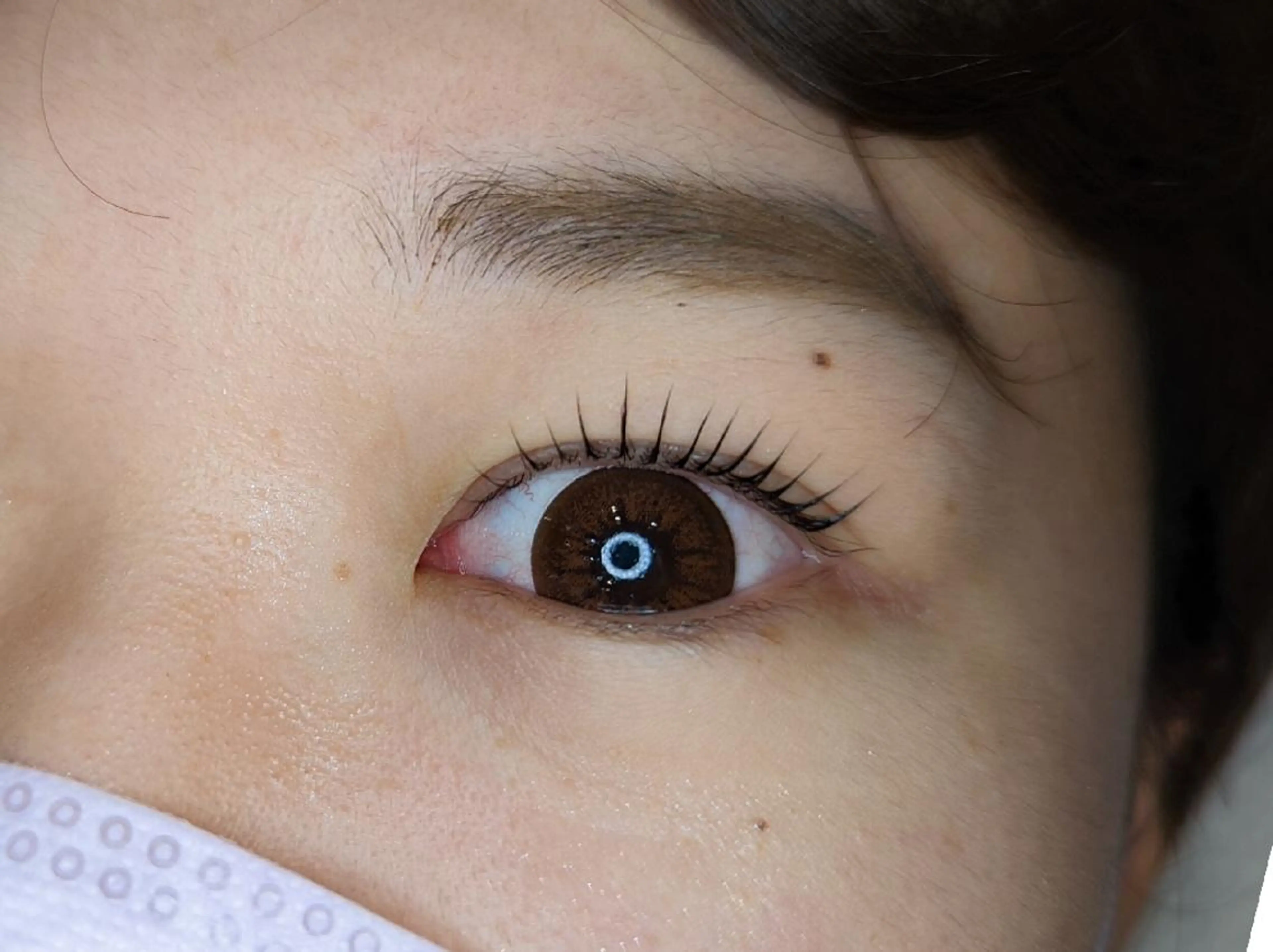 パーマ マツパ 【STEEL池袋】 🌈MASHIMAのマツエク・マツパデザイン