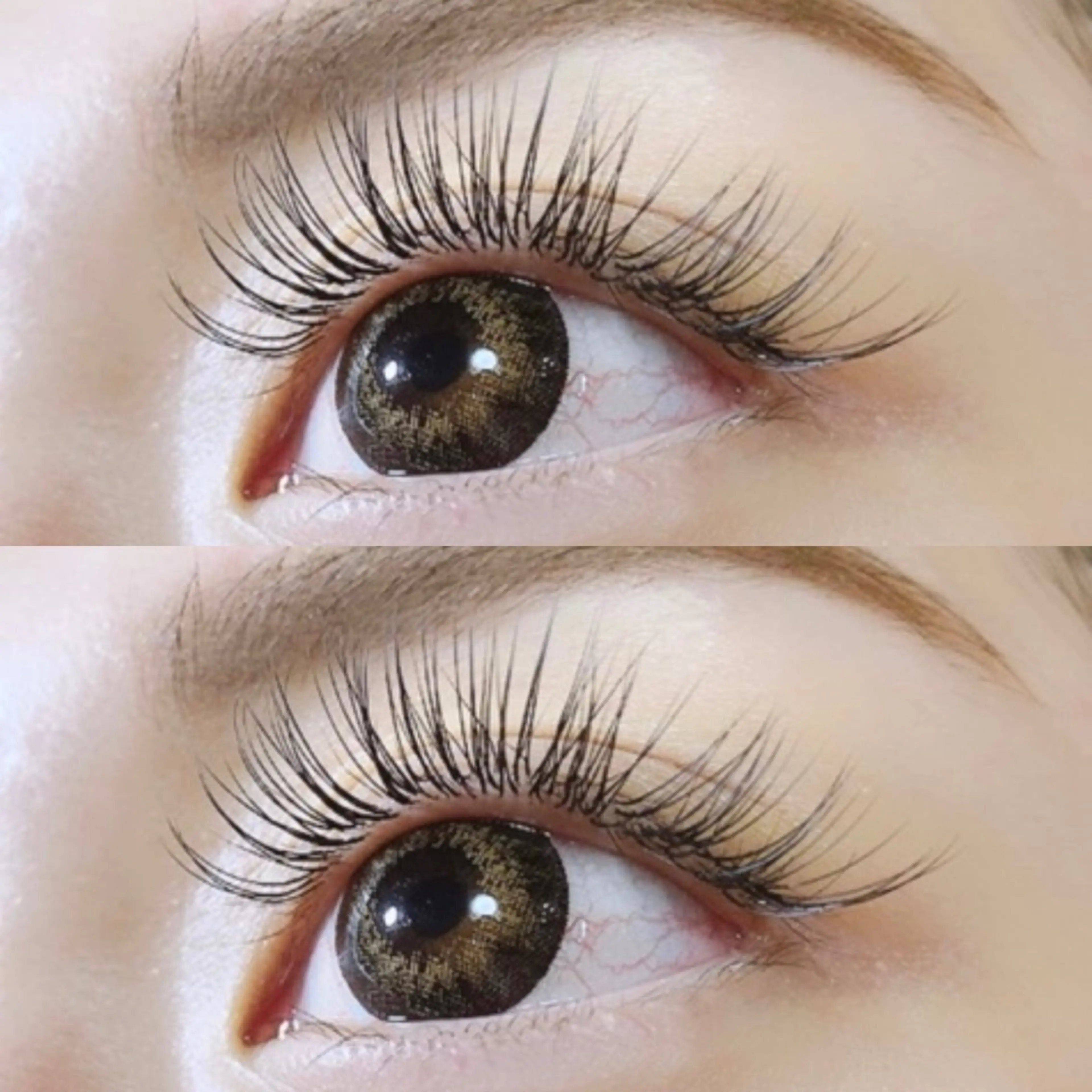 【🌼minimo限定クーポン🌼】　　　　　　　　　　　　　　　セーブルラッシュ140本🩵の写真