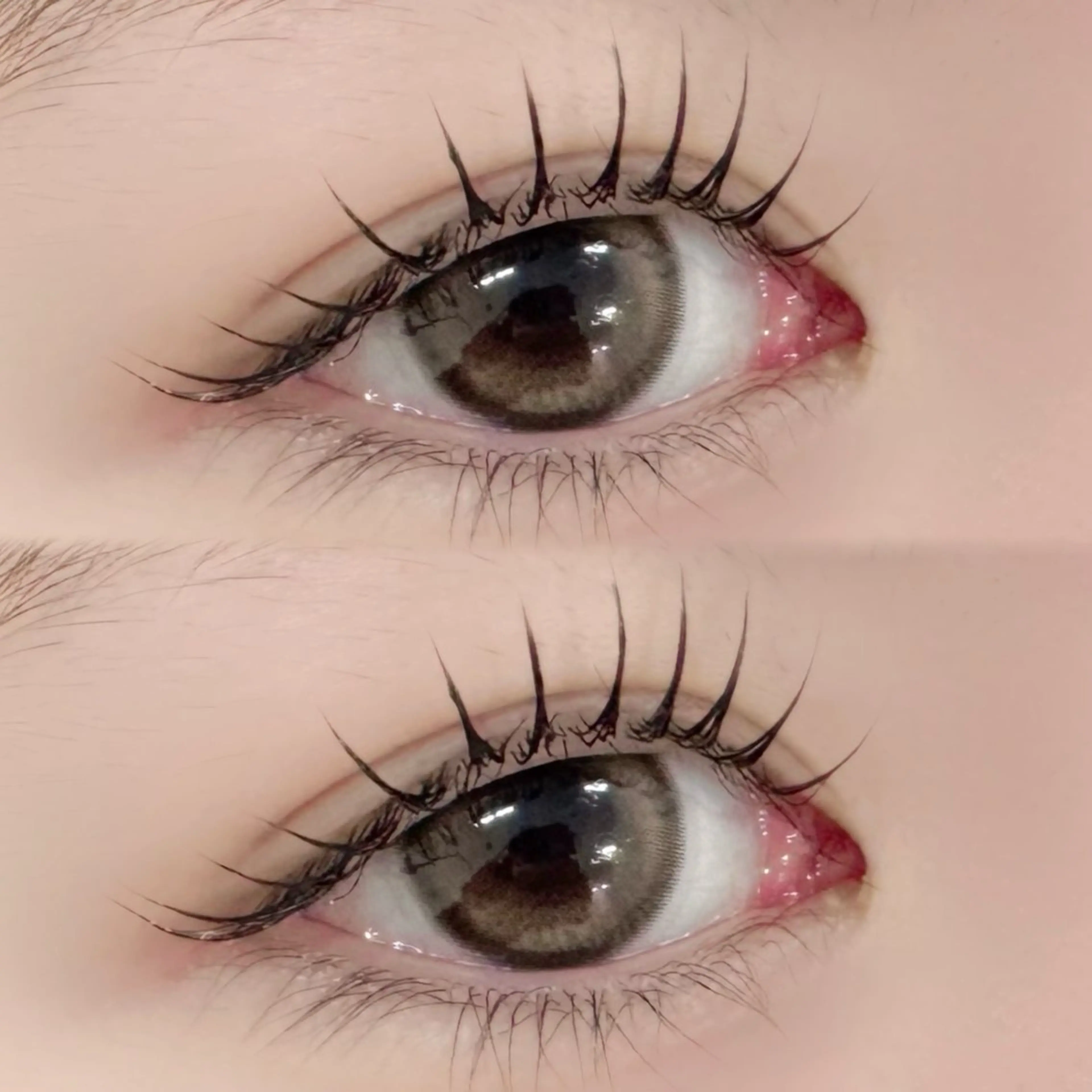 [5月限定]束感ラッシュリフト（まつげパーマ）の写真