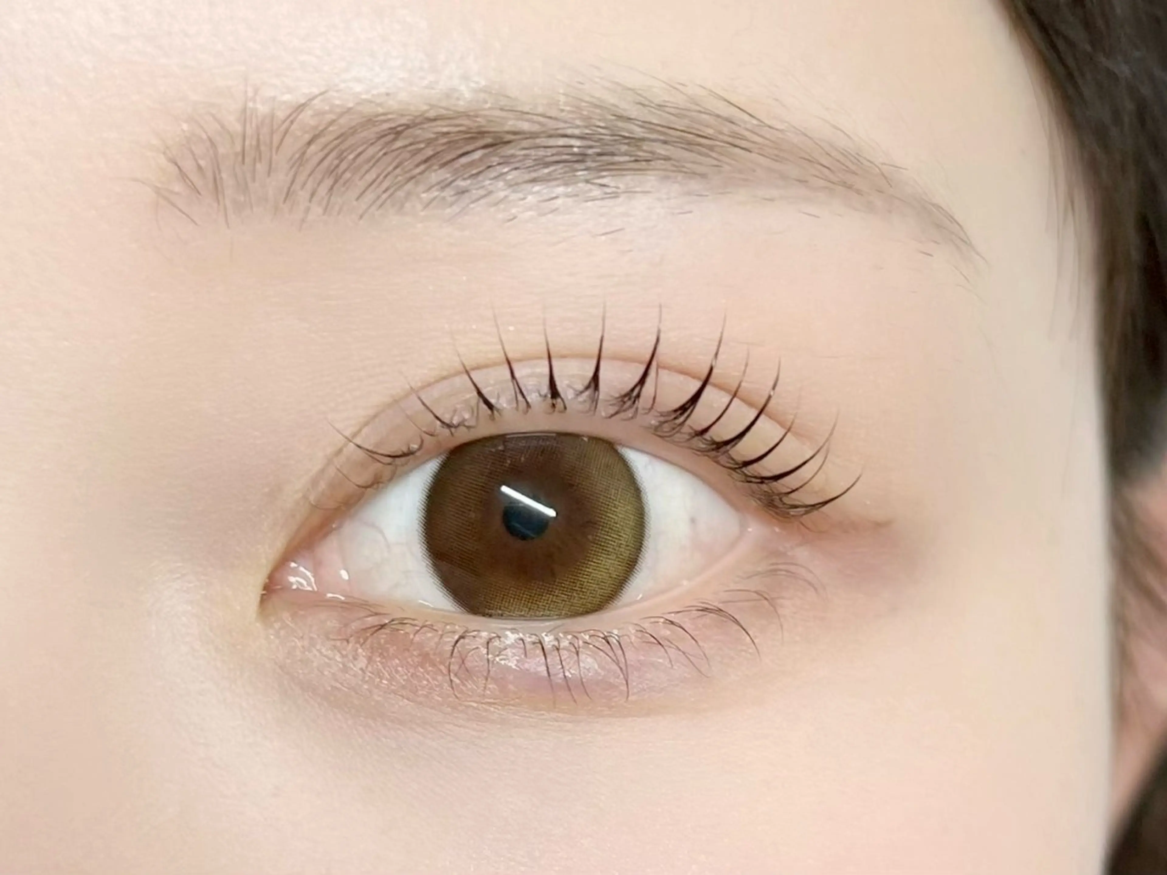 マツエク・マツパ 一重×まつ毛パーマ マツパ 恵比寿駅4分🩶 垢抜け眉&まつ毛🫧の眉毛・アイブロウイメージ