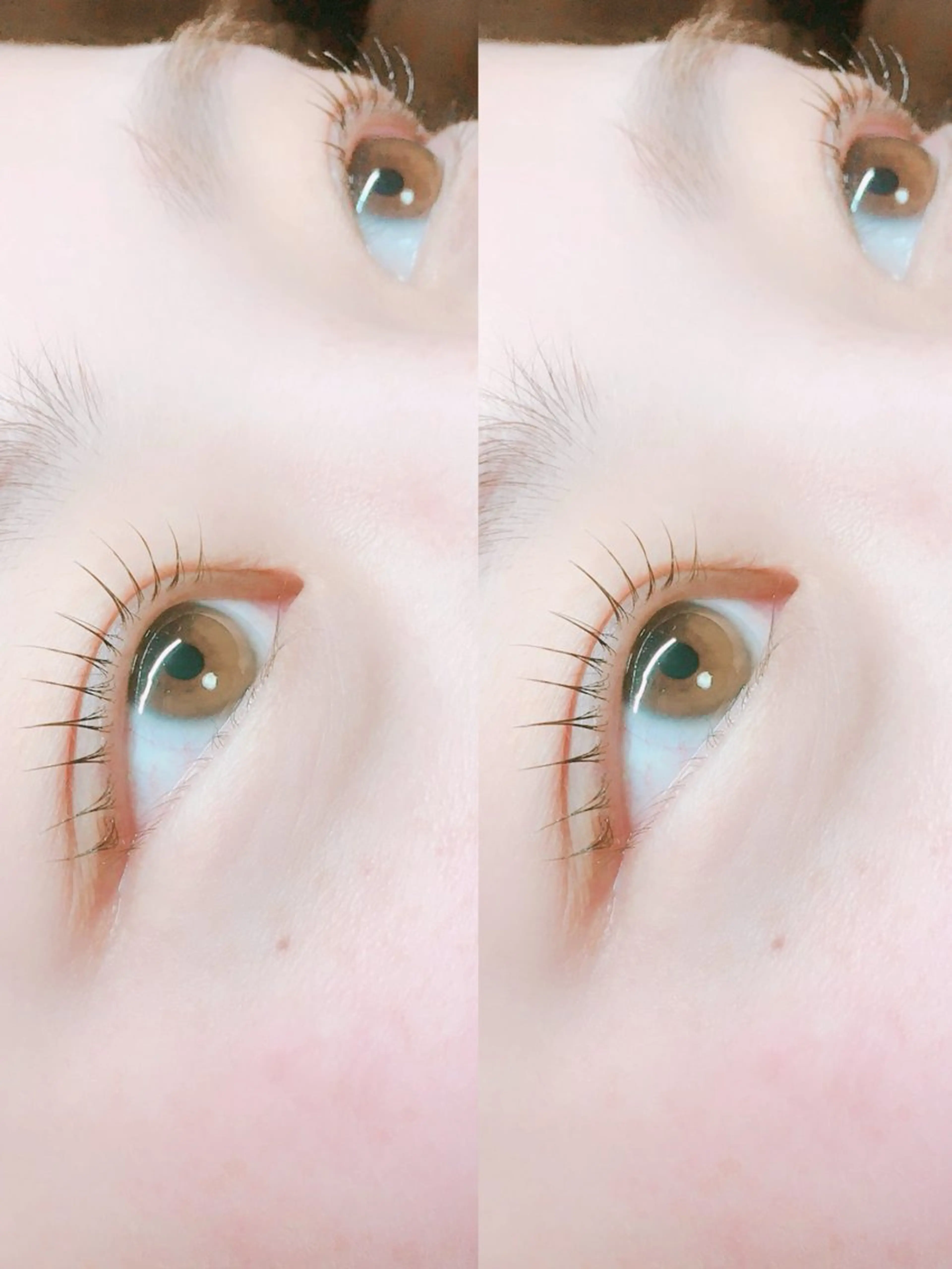 上まつげラッシュリフト✨アイシャンプー、アルカリ除去、トリートメント、美容液コーティング込み！の写真