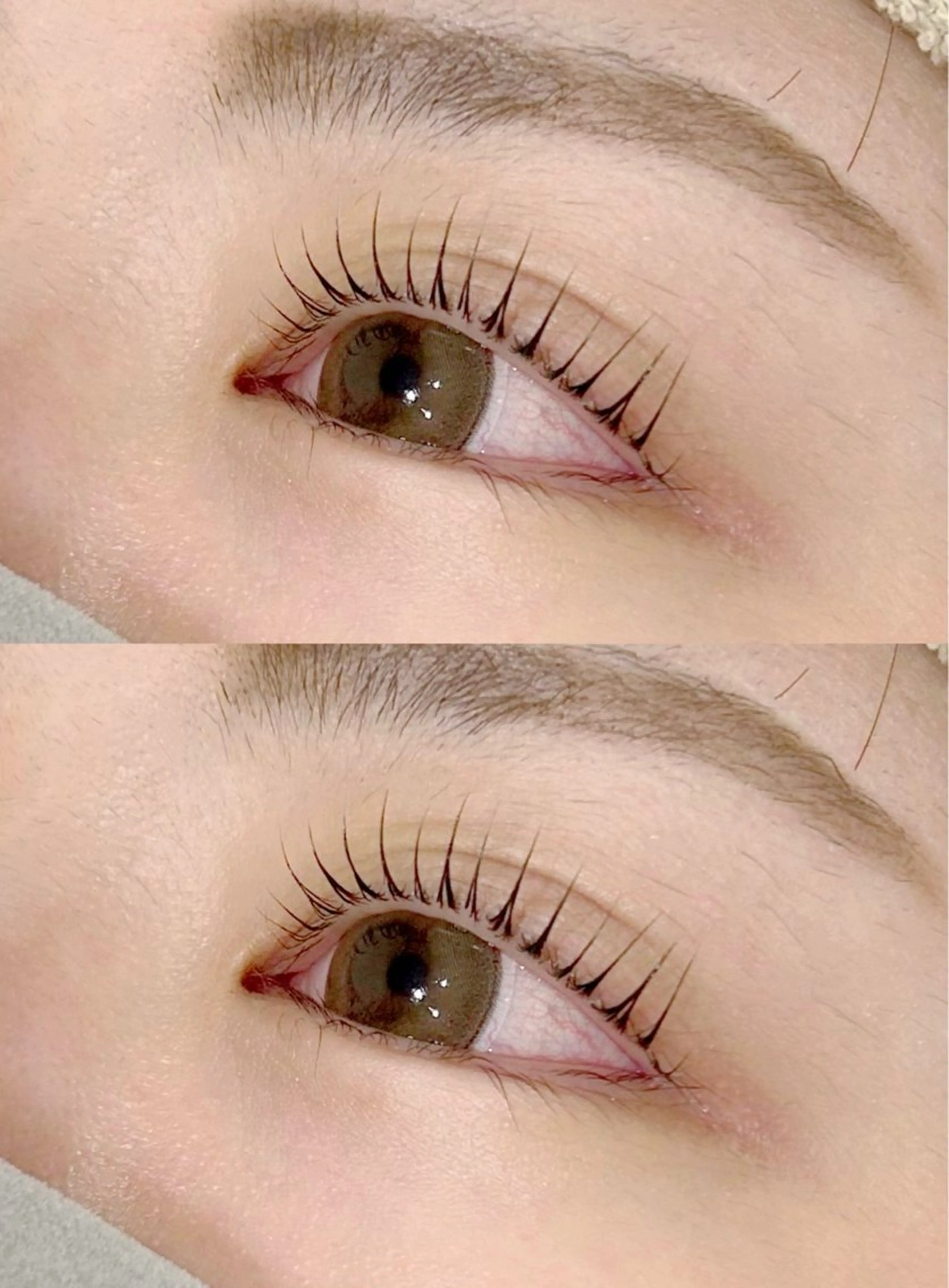 マツエク・マツパ マリーテレジア🌻 IMOTOのマツエク・マツパデザイン