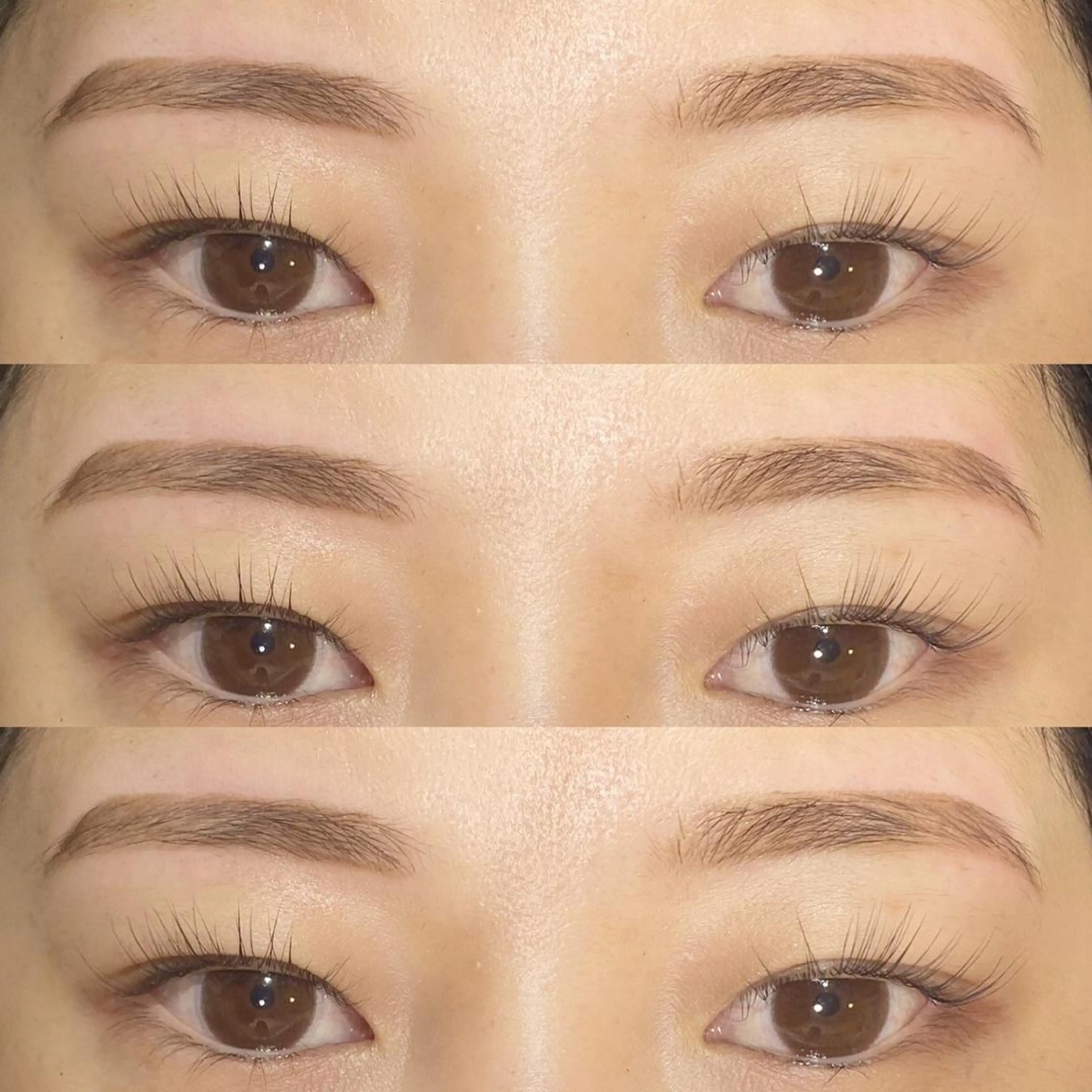 ❤︎超お得！学割クーポン❤︎パリジェンヌ(上)+アイブロウwax脱毛　※必ず学生証の提示をお願い致しますの写真