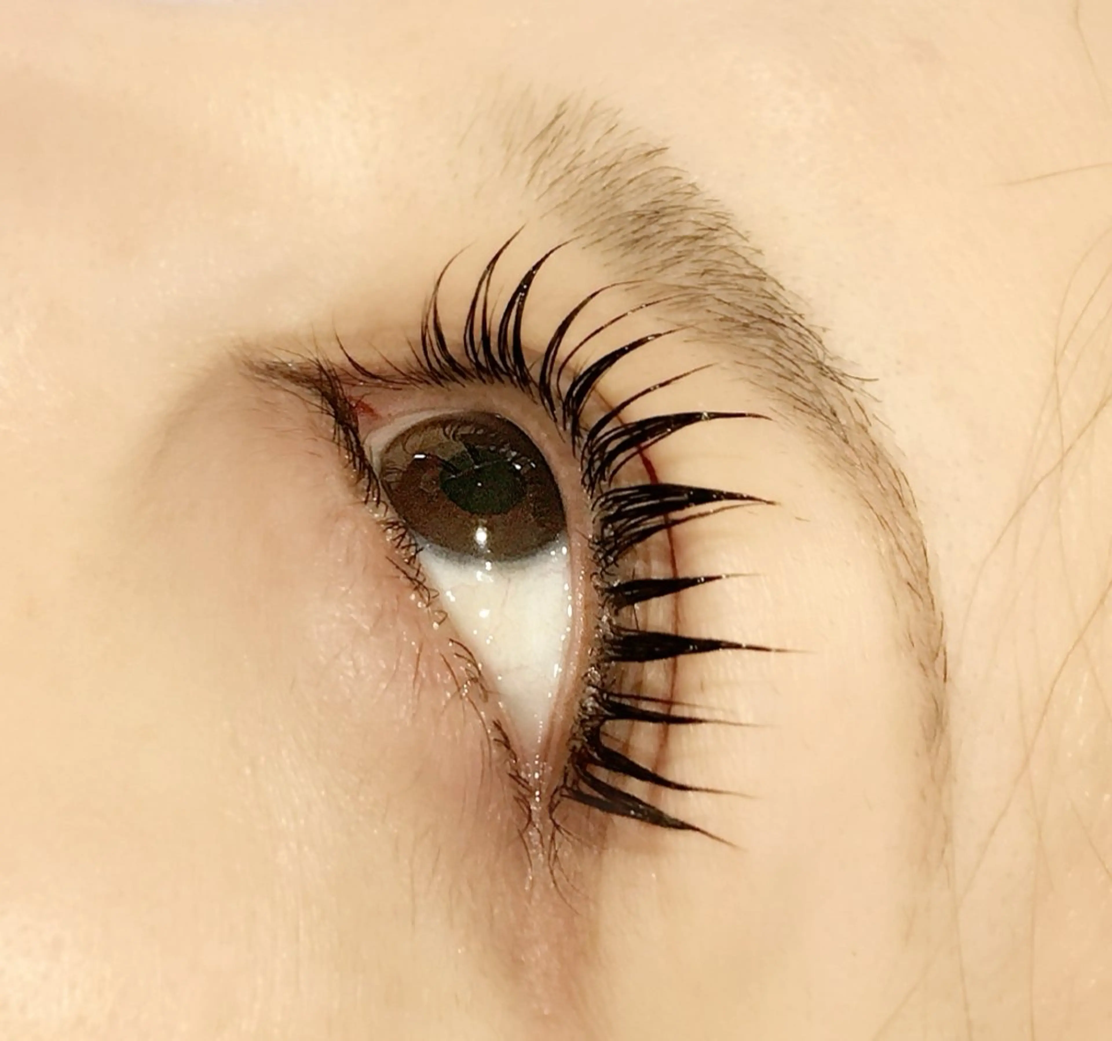 【期間限定】『ご新規様』マスカラパーマ　ブラックダブルカラートリートメント6000円→4000円お支払いは現金のみ対応の写真