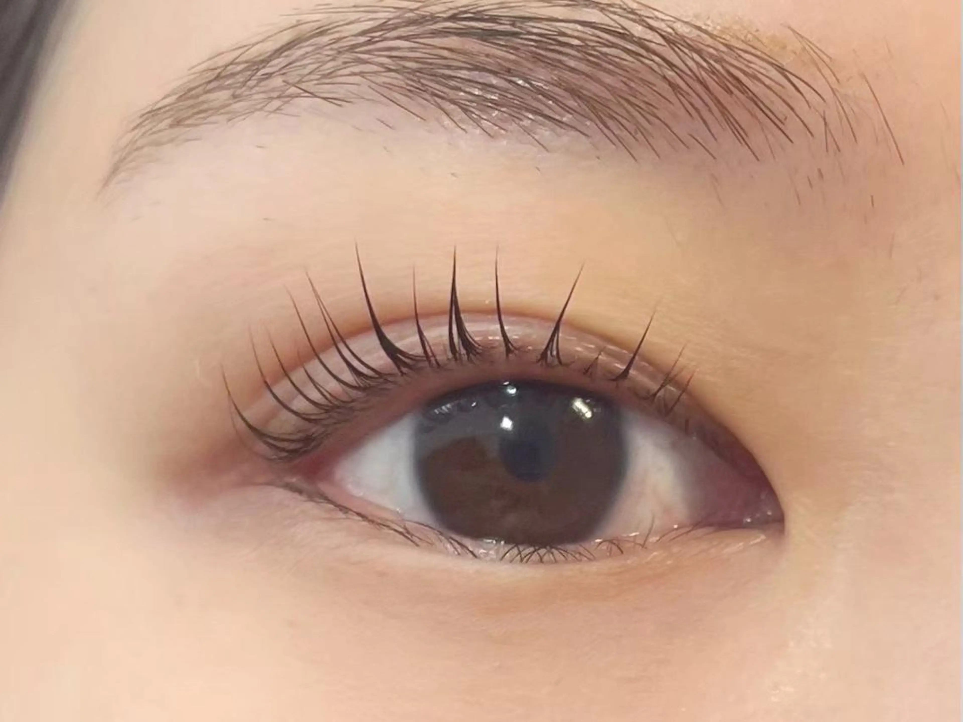 パーマ Fiara 研修所💐のマツエク・マツパデザイン