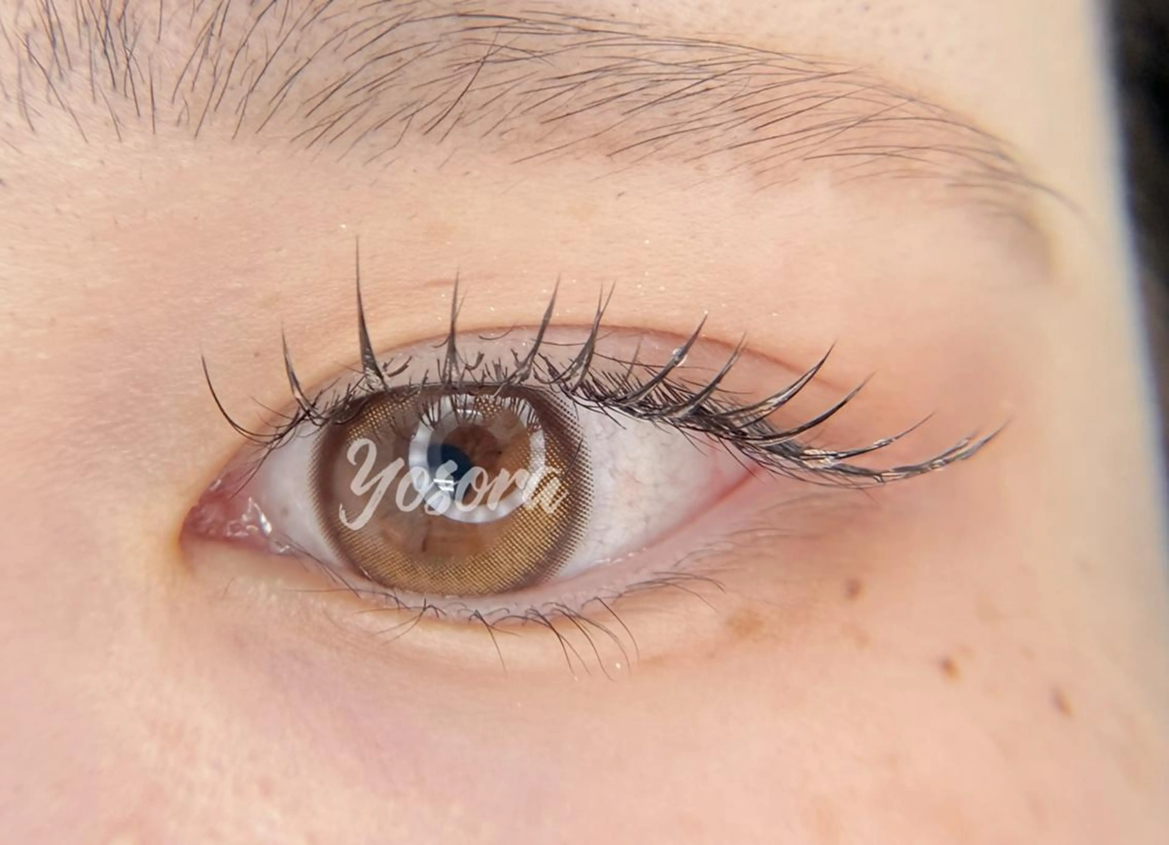 マツエク・マツパ フラットラッシュ マツエク Yosora salonのマツエク・マツパデザイン