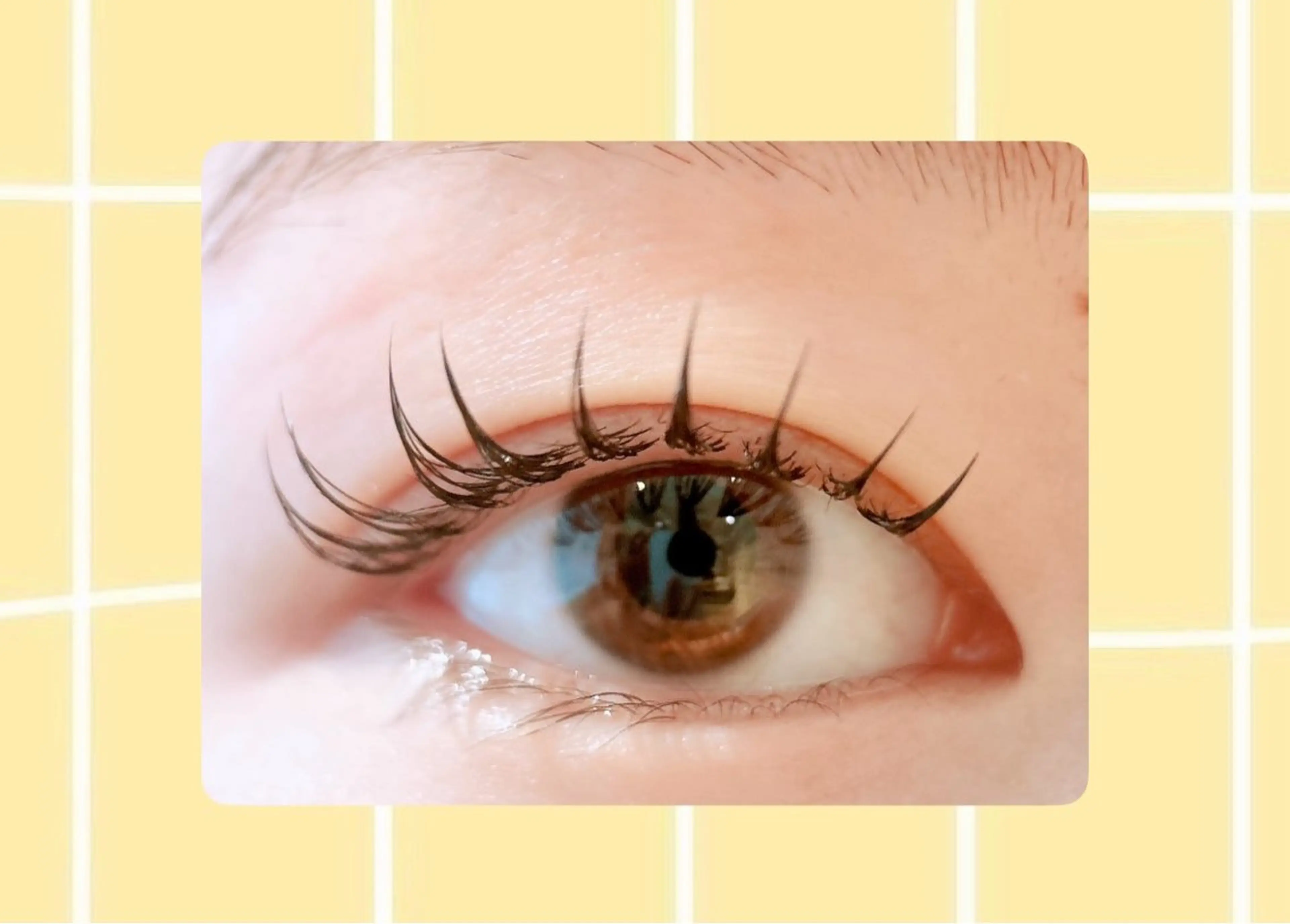 マツエク・マツパ マツエク mist AYA 🏝️eyelashのマツエク・マツパデザイン