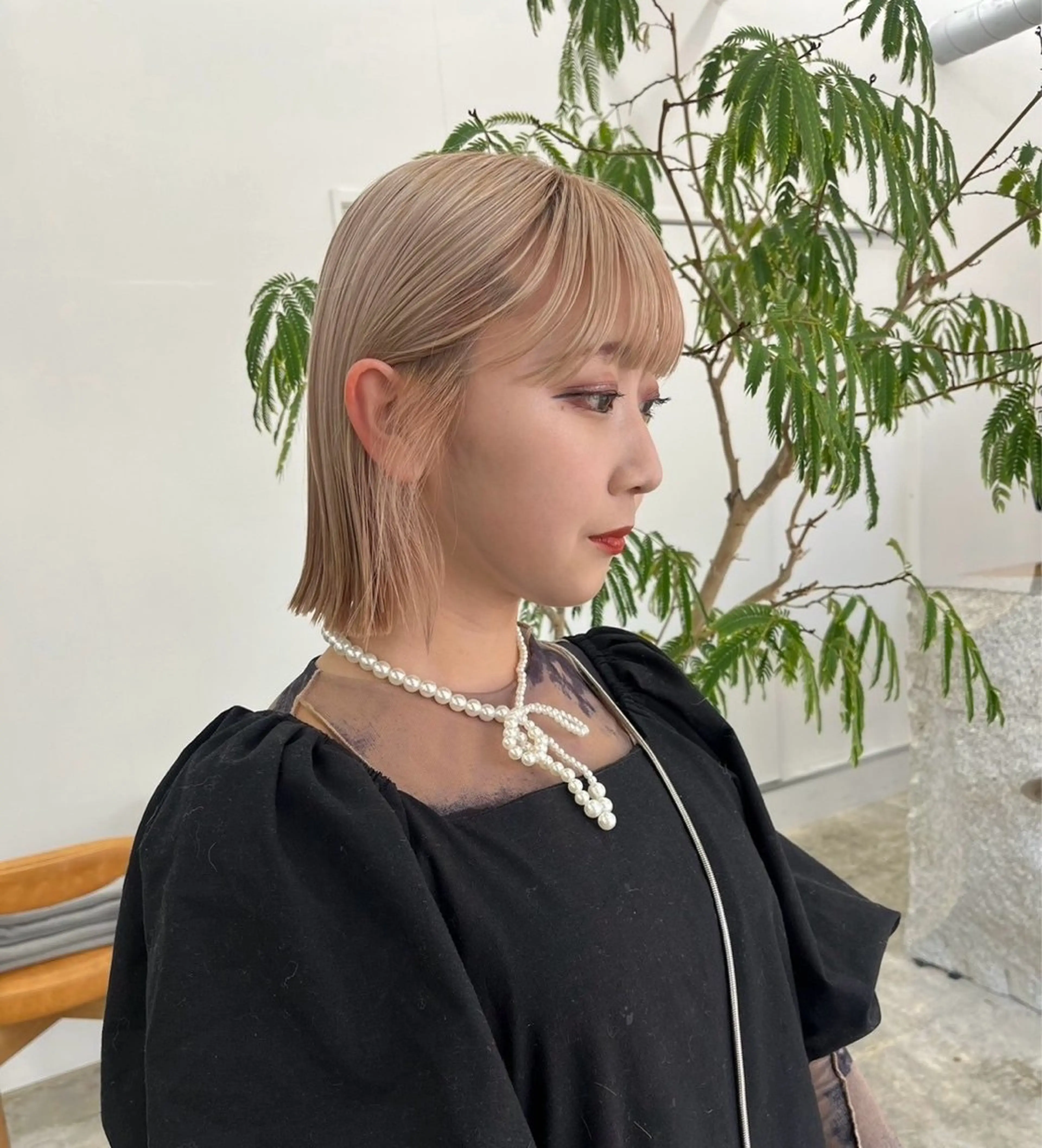 cut . bleach on color . trの写真