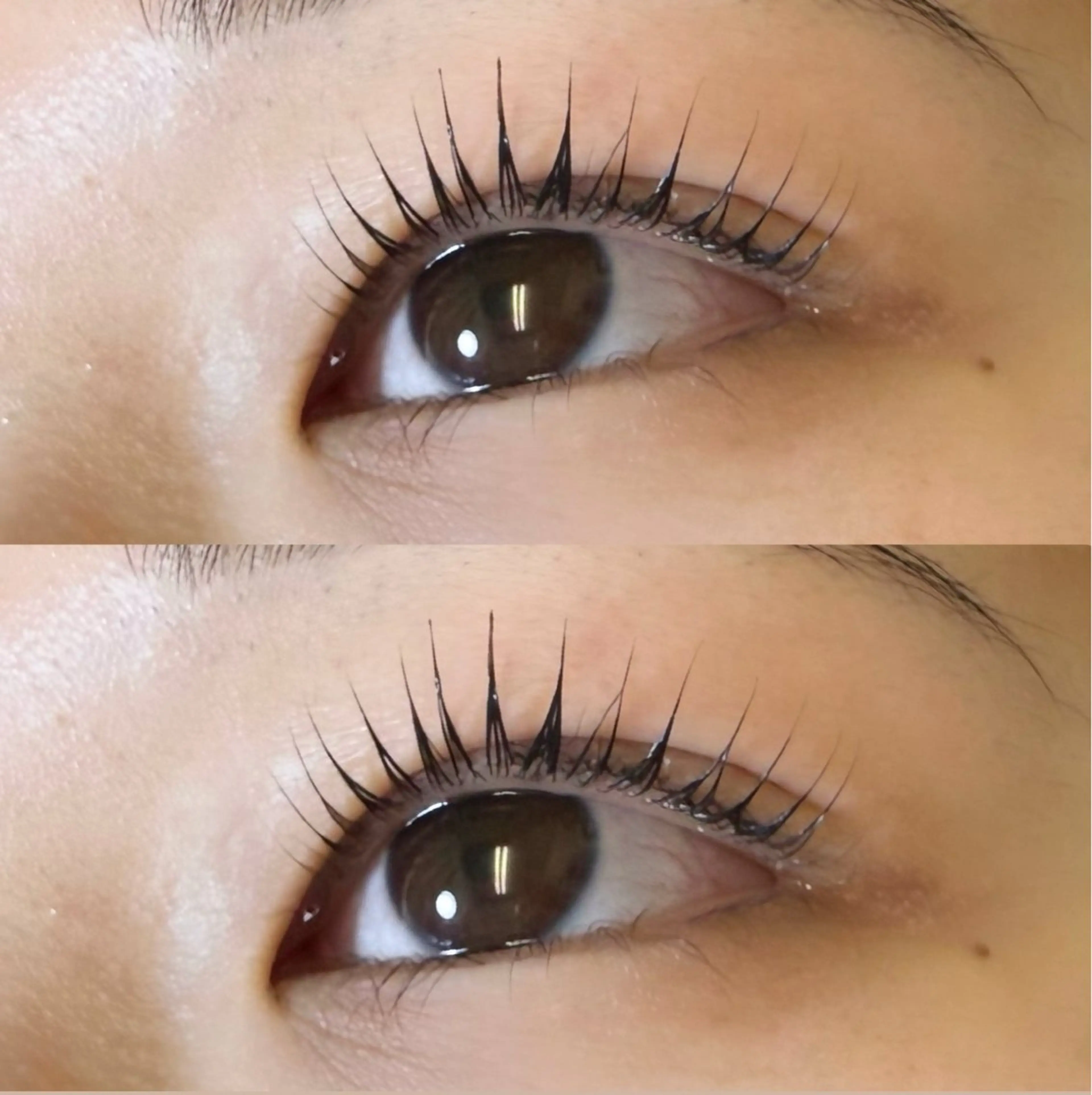 🎀韓国発🎀マスカラパーマ🎀の写真