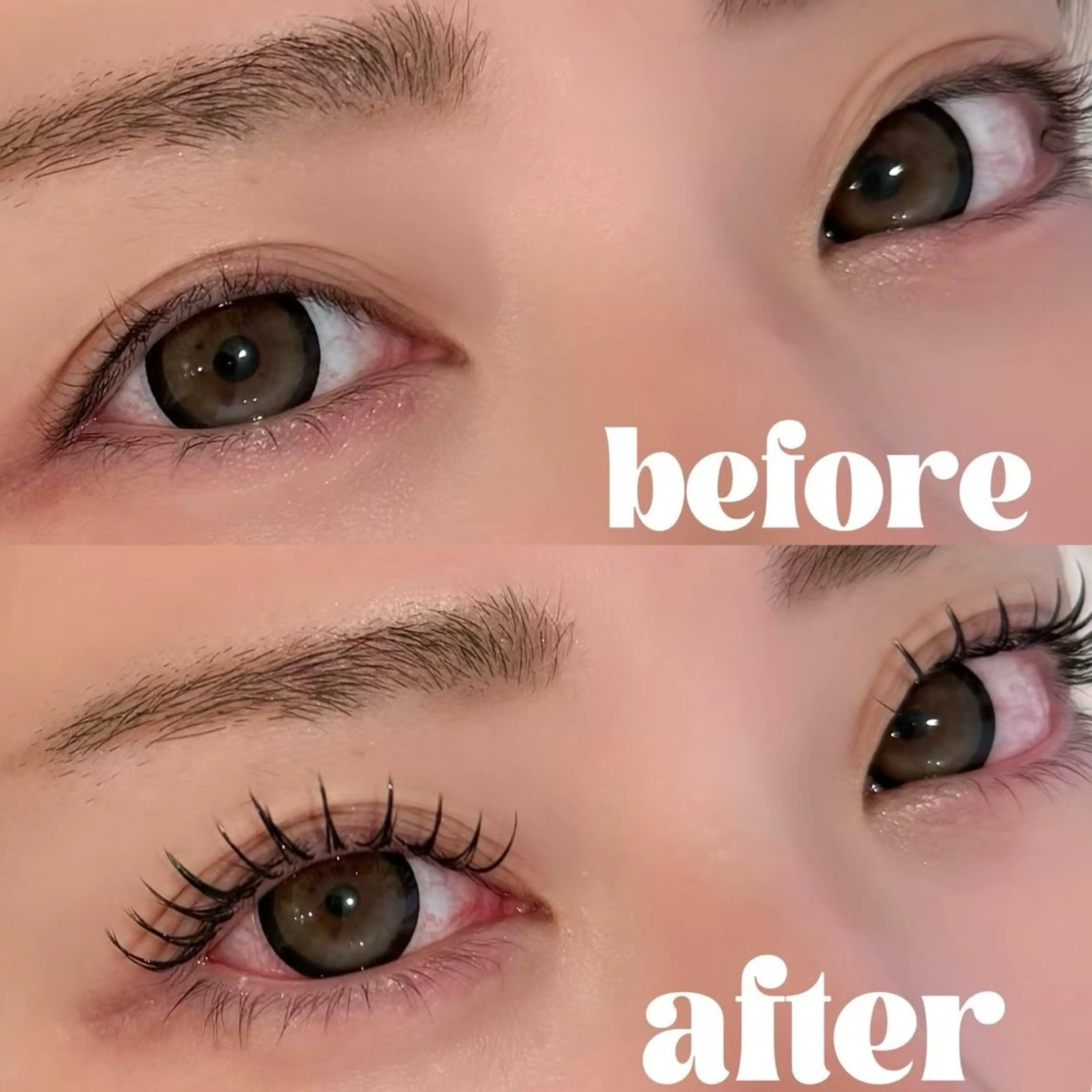 マツエク・マツパ マリーテレジア TAKEOKAの眉毛・アイブロウイメージ