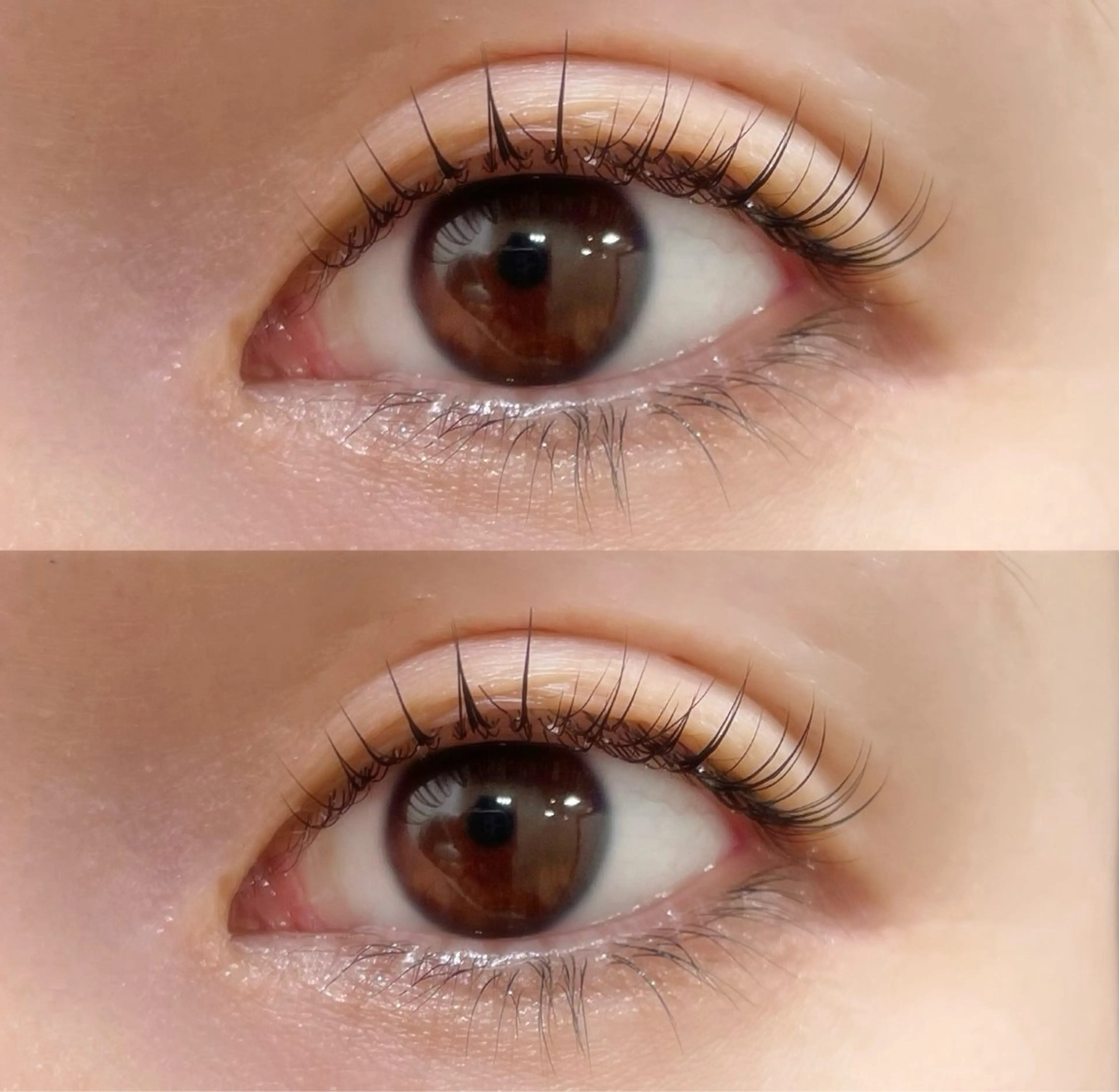 ãããšã¯ã»ããã ããã ãticoã Chihoã®ãããšã¯ã»ããããã¶ã€ã³