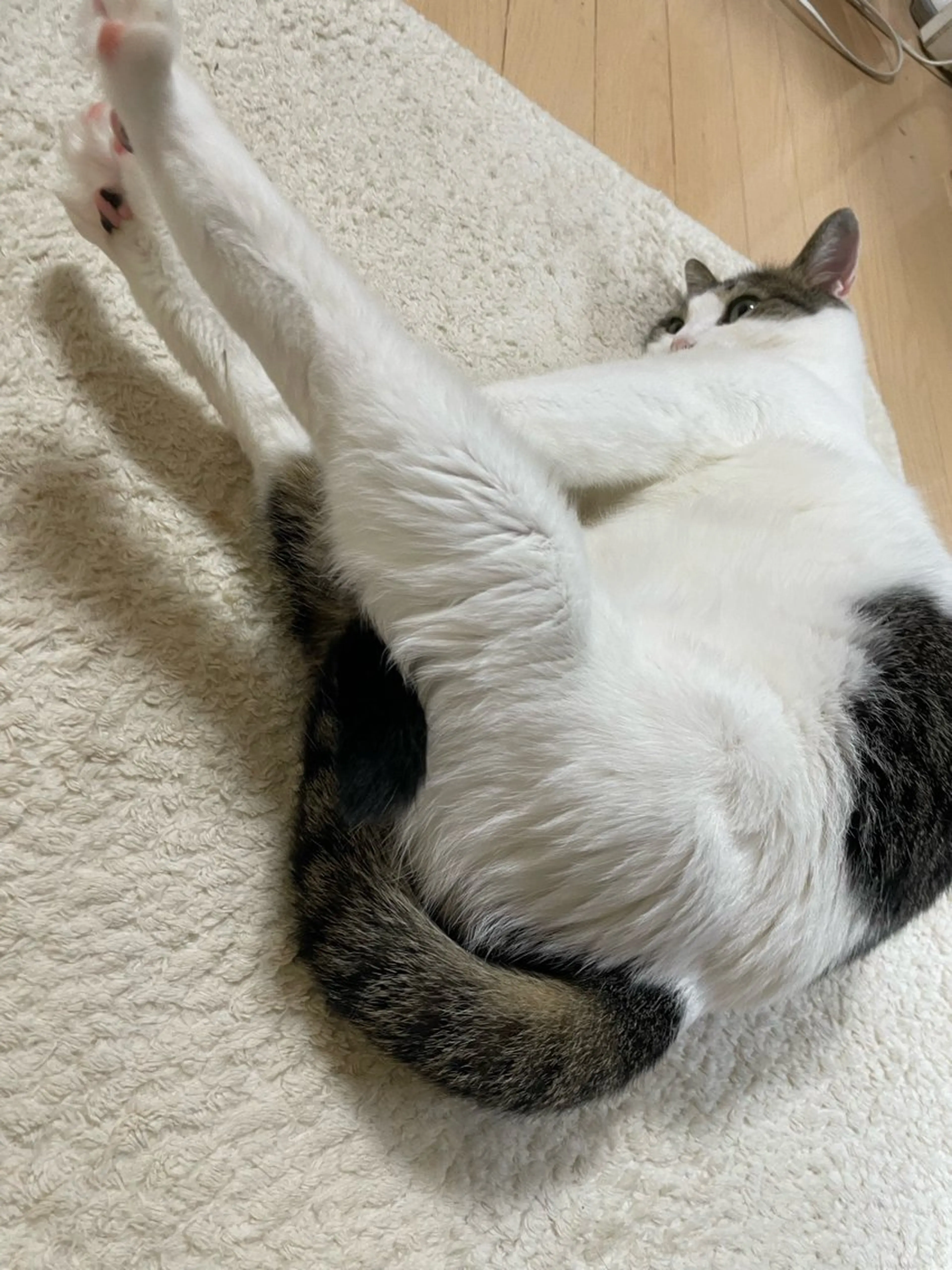 ネイル misun_ nailのネイルデザイン