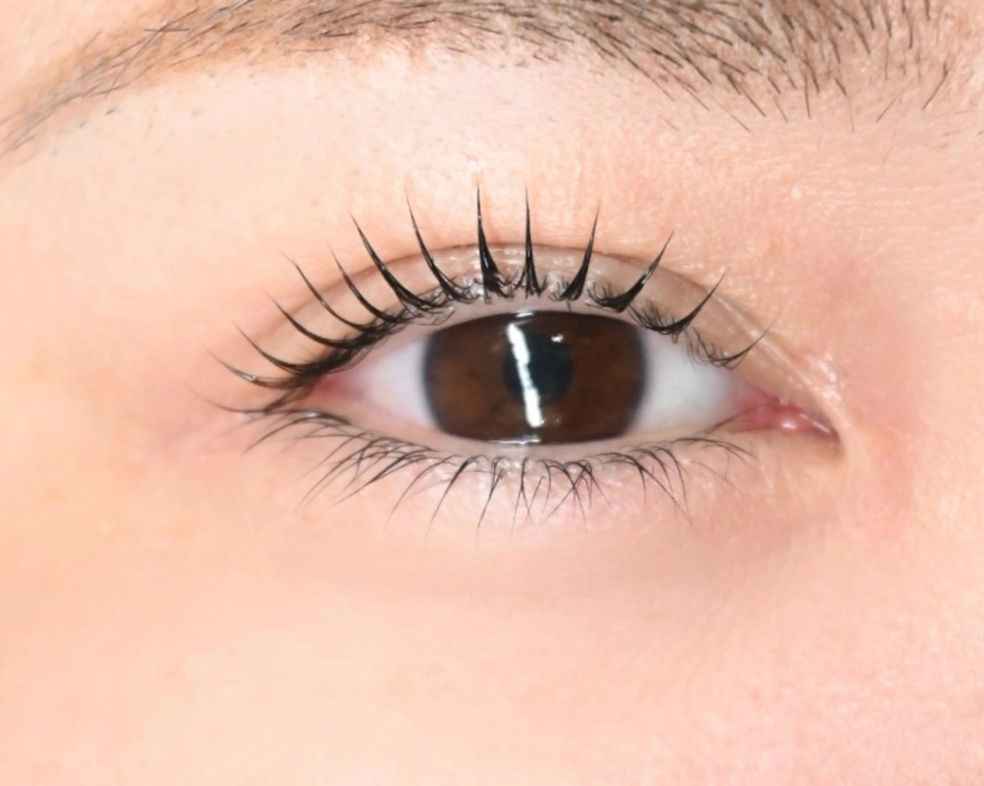 【マスカラパーマ】ダメージレスまつ毛パーマの写真