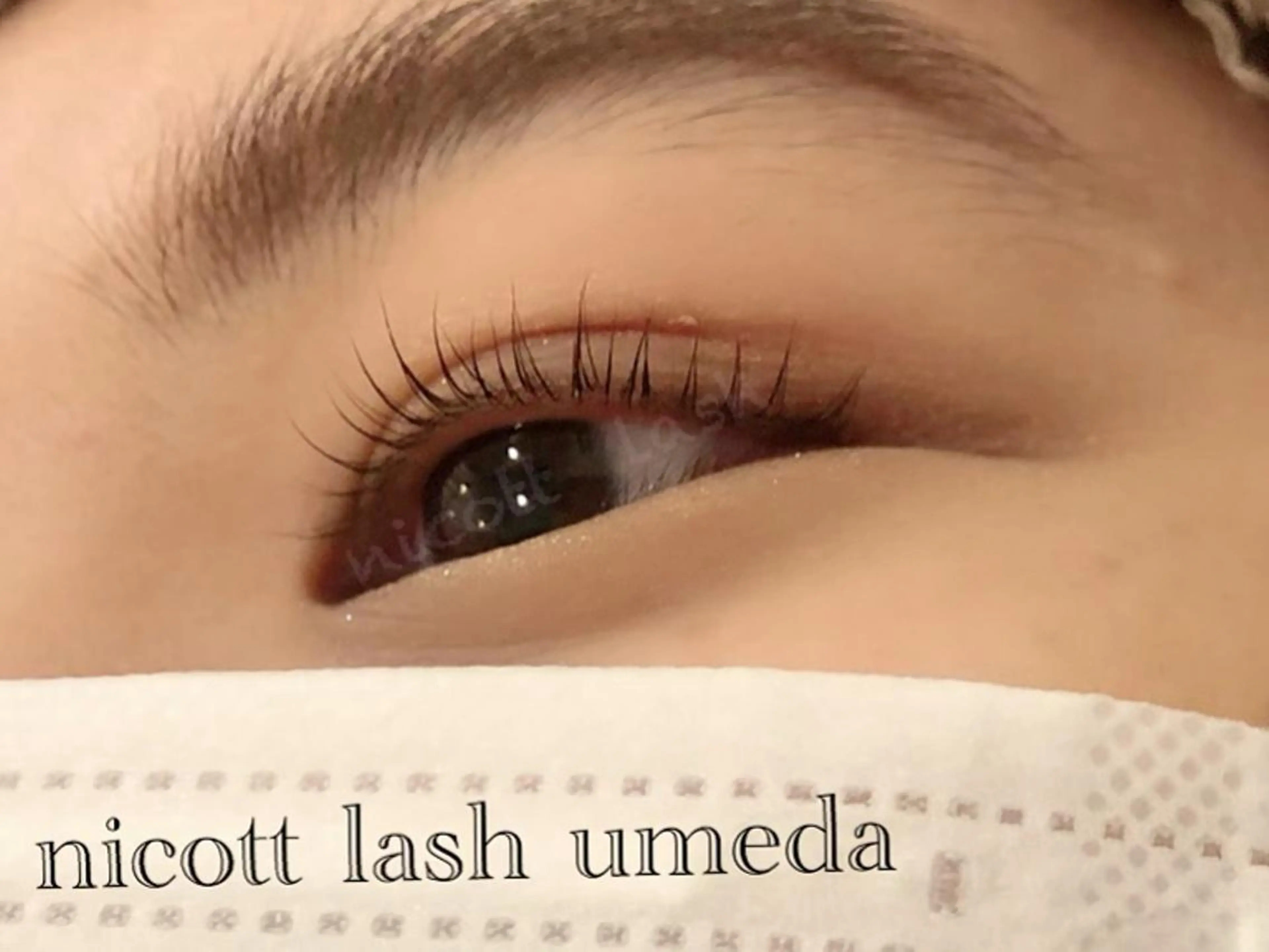 マツエク・マツパ 一重×まつ毛パーマ サクラブロウ 難波のマツエク・マツパデザイン